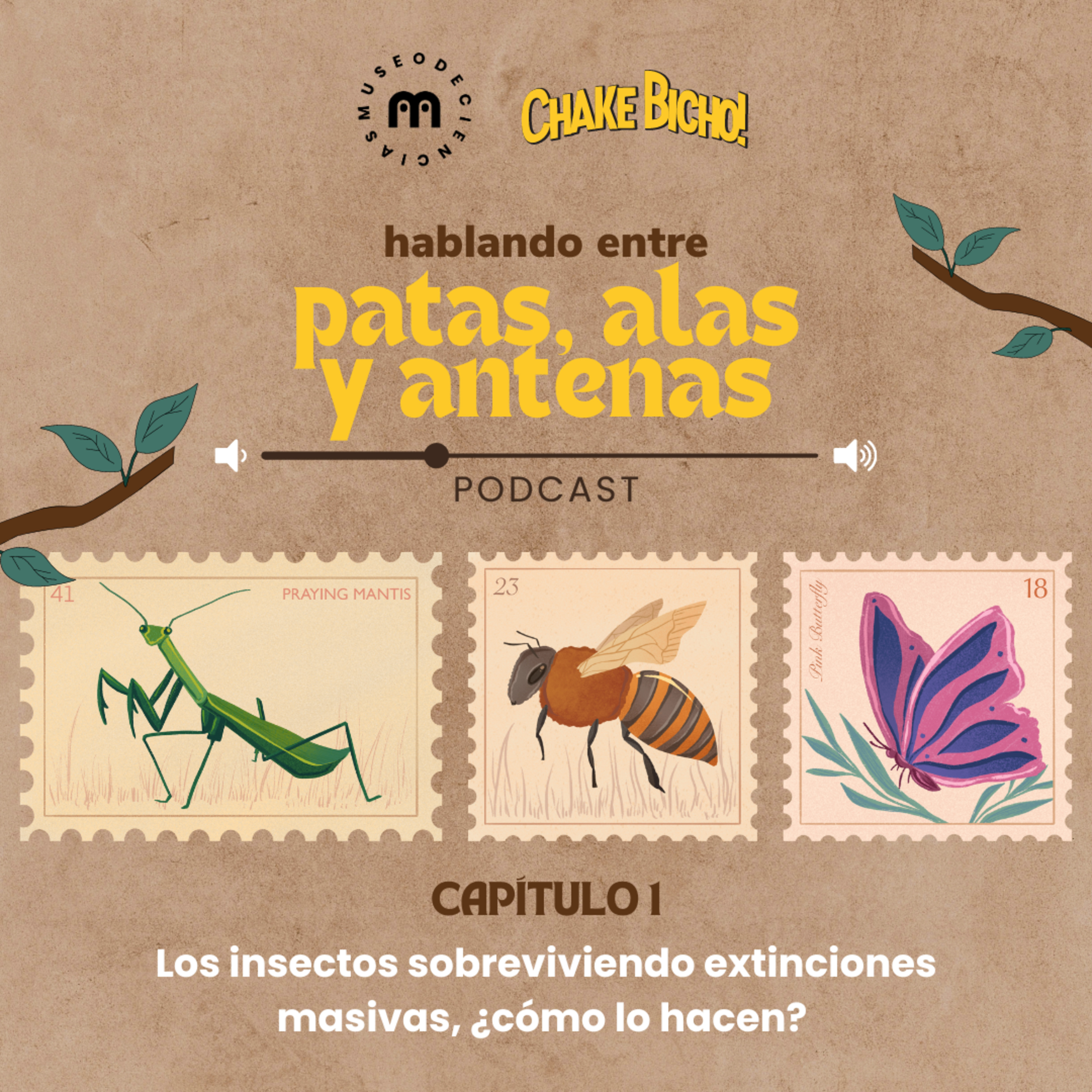 El Podcast de MuCi