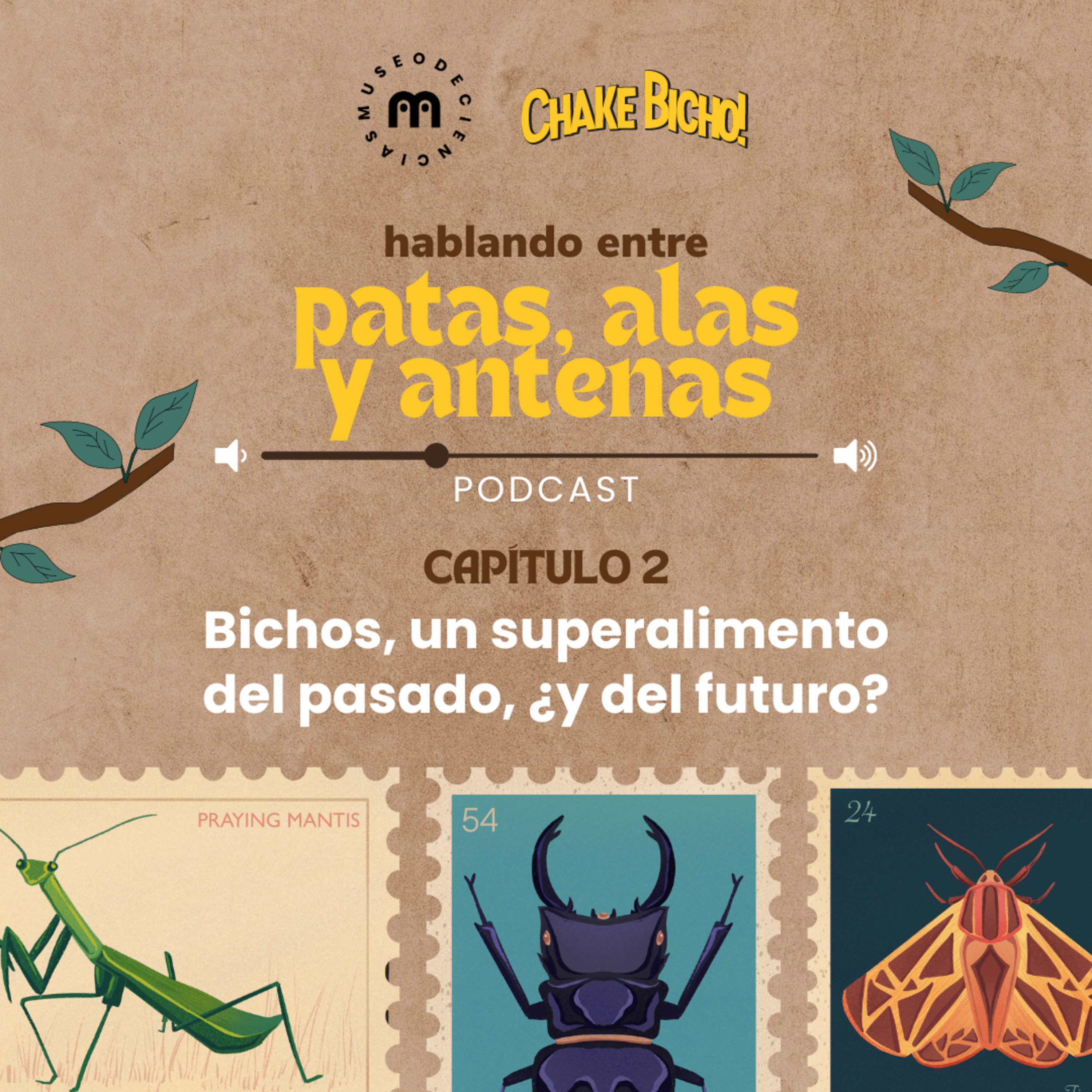 El Podcast de MuCi