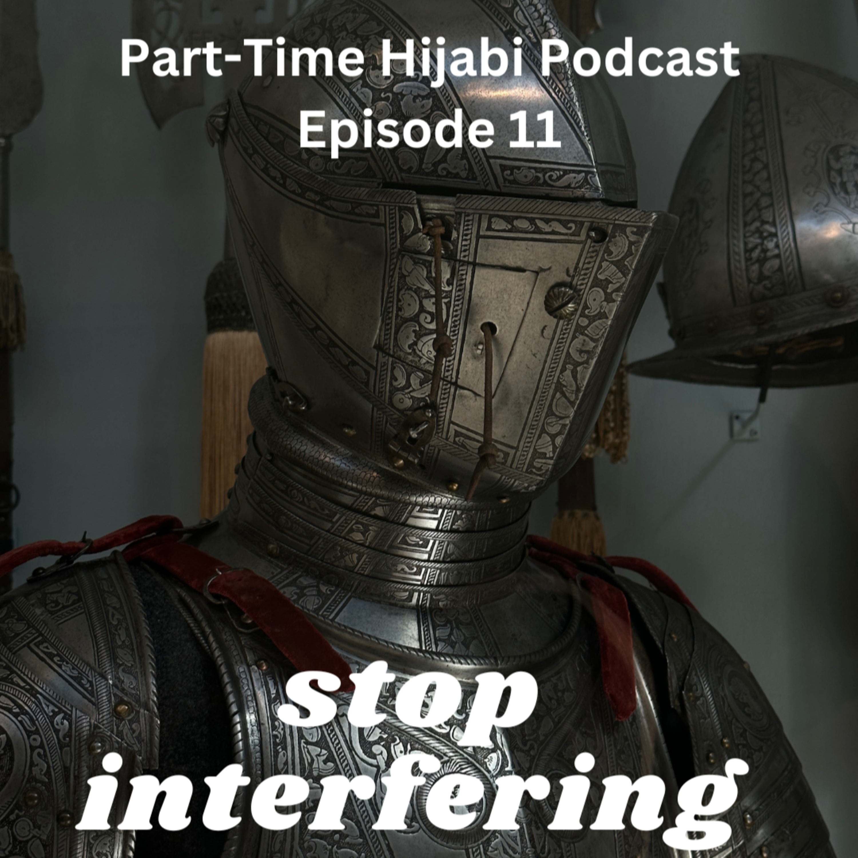 stop interfering episode artwork