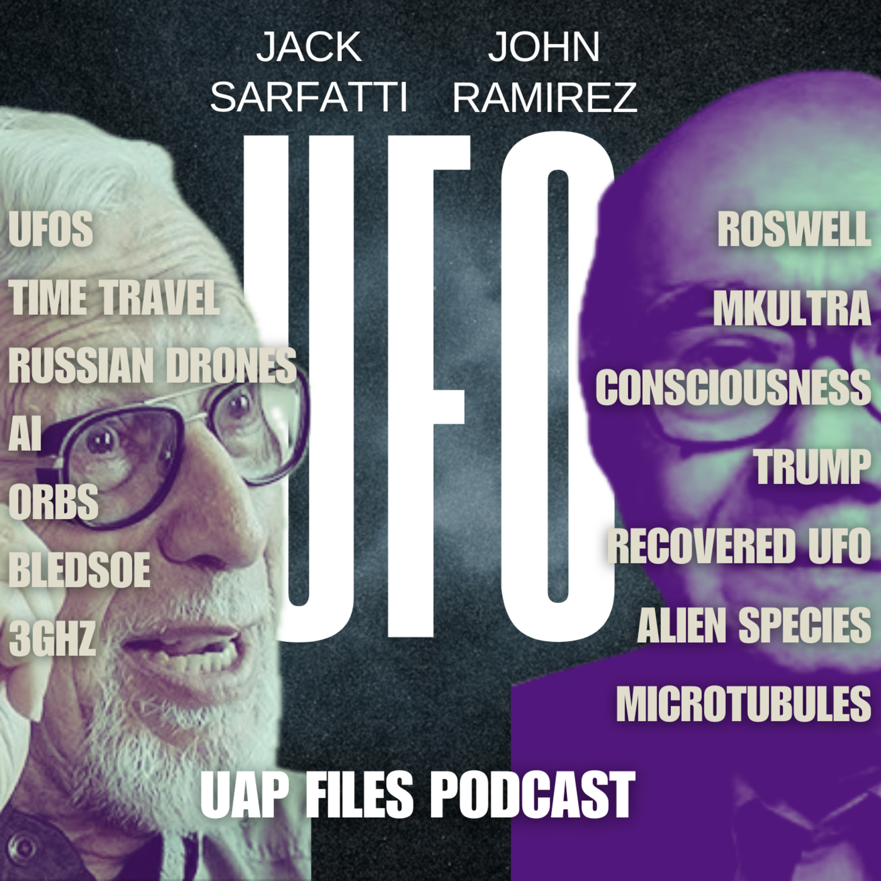 Ex-CIA & Physicist Reveal What’s Really Flying Above Us | Sarfatti & Ramirez TALK