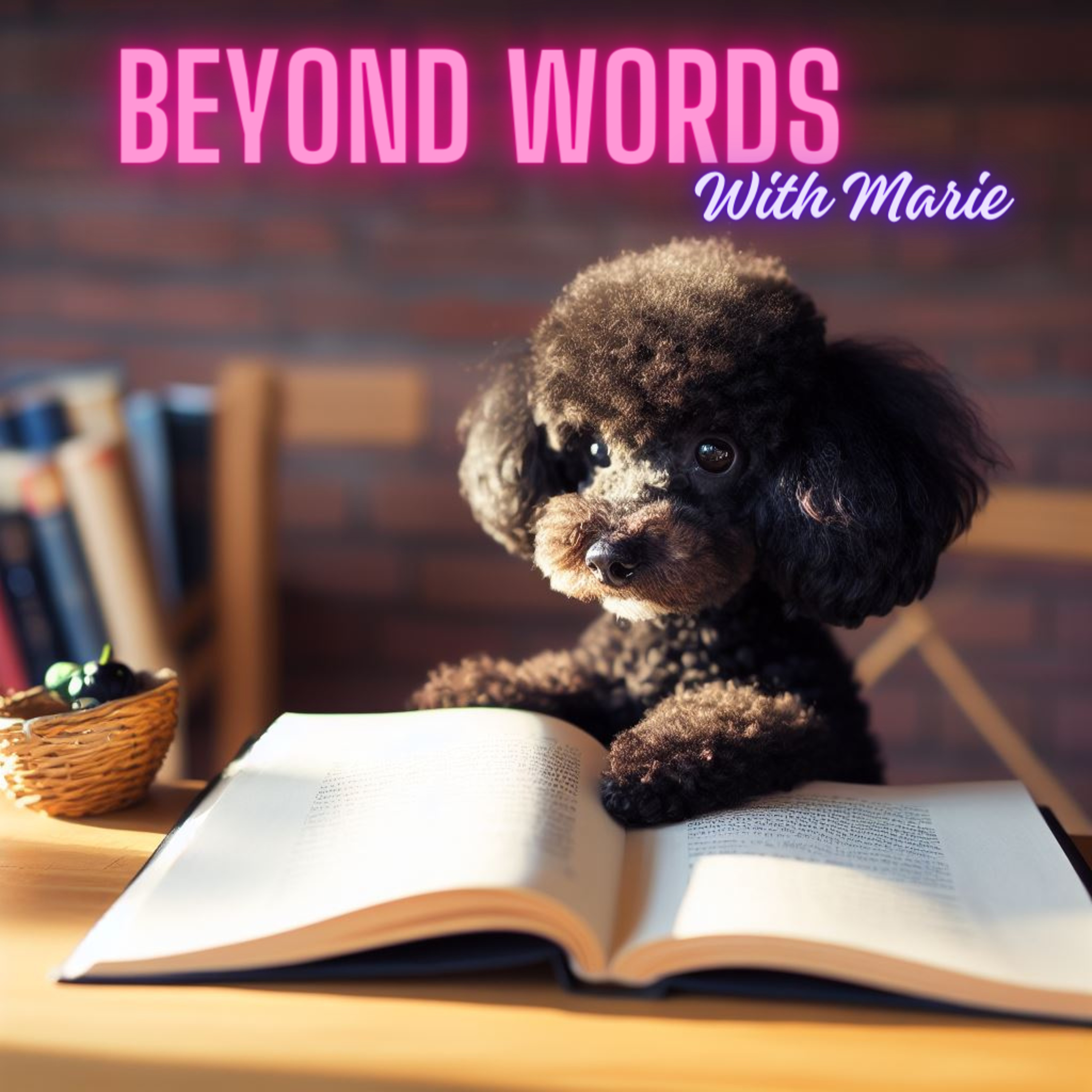 Nice to Meet You! - 欢迎来到 Beyond Words With Marie
