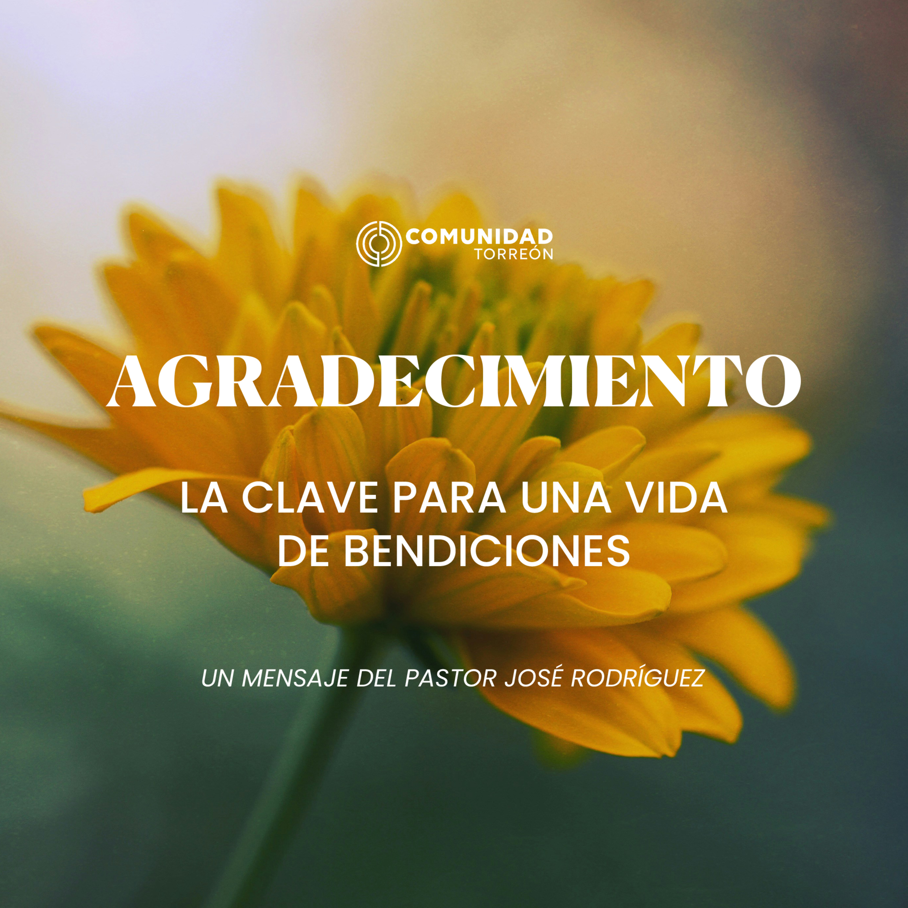 El agradecimiento: la clave para una vida de éxito episode artwork
