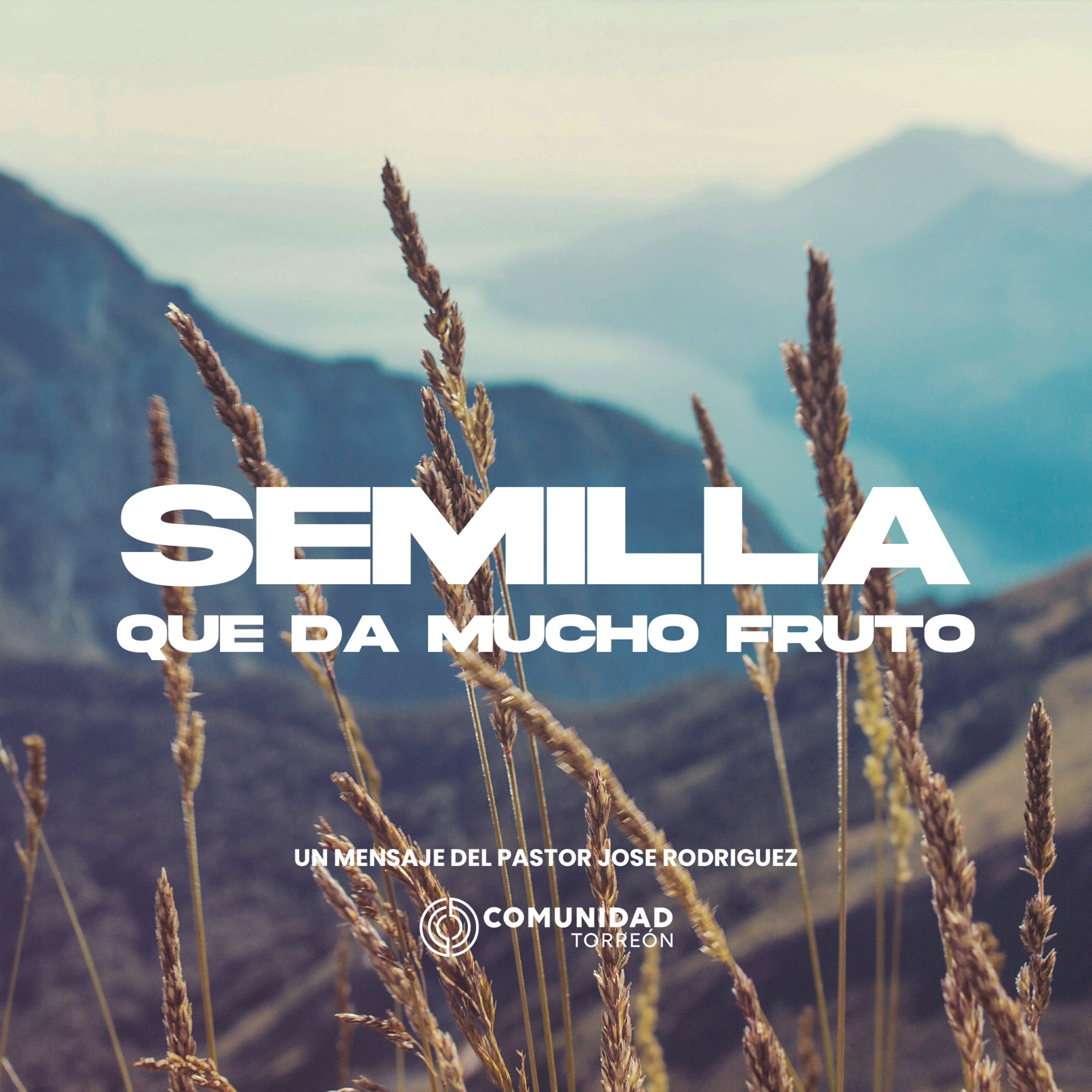 Semilla que da mucho fruto episode artwork