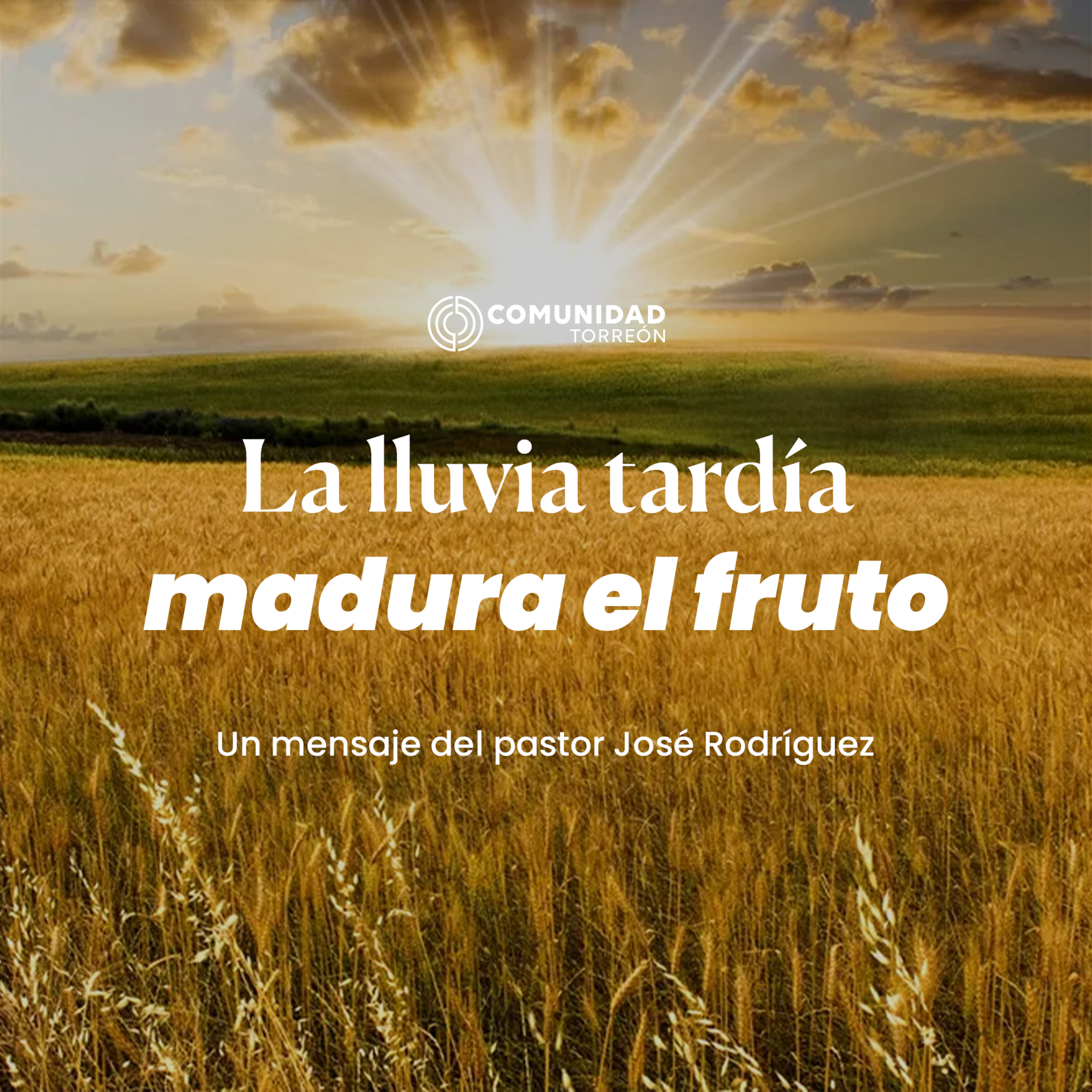 La lluvia tardía madura el fruto episode artwork