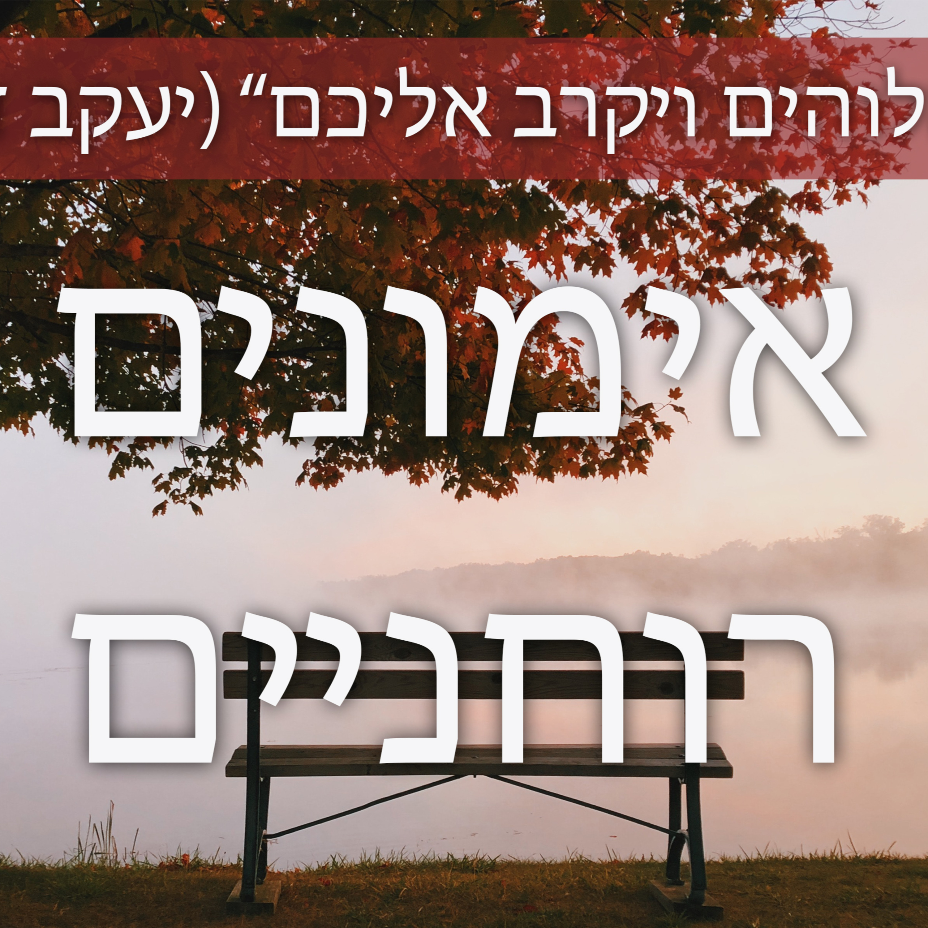 אימונים רוחניים | "והילד גדל והתחזק ברוח" (לוקס א' 80) episode artwork
