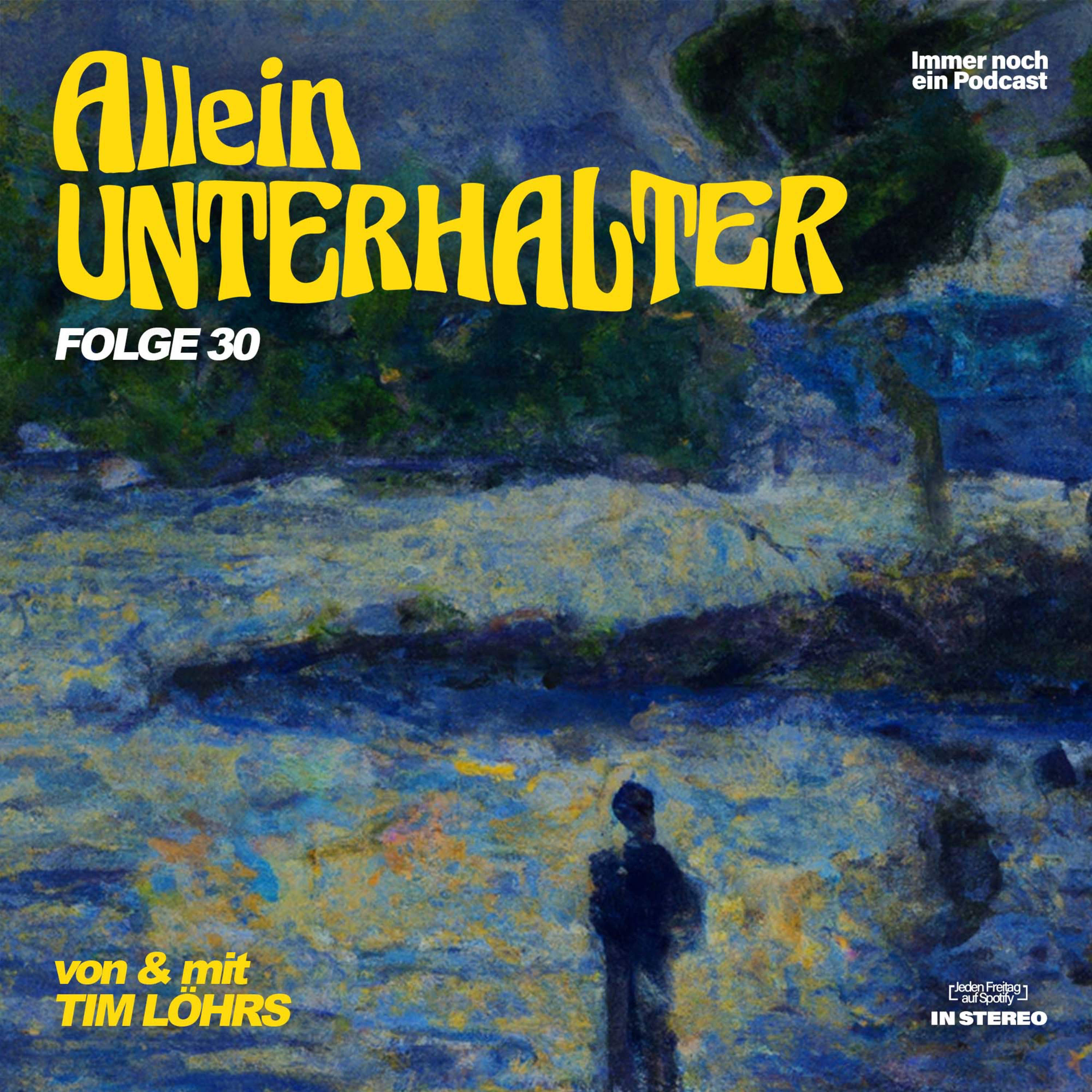 Alleinunterhalter