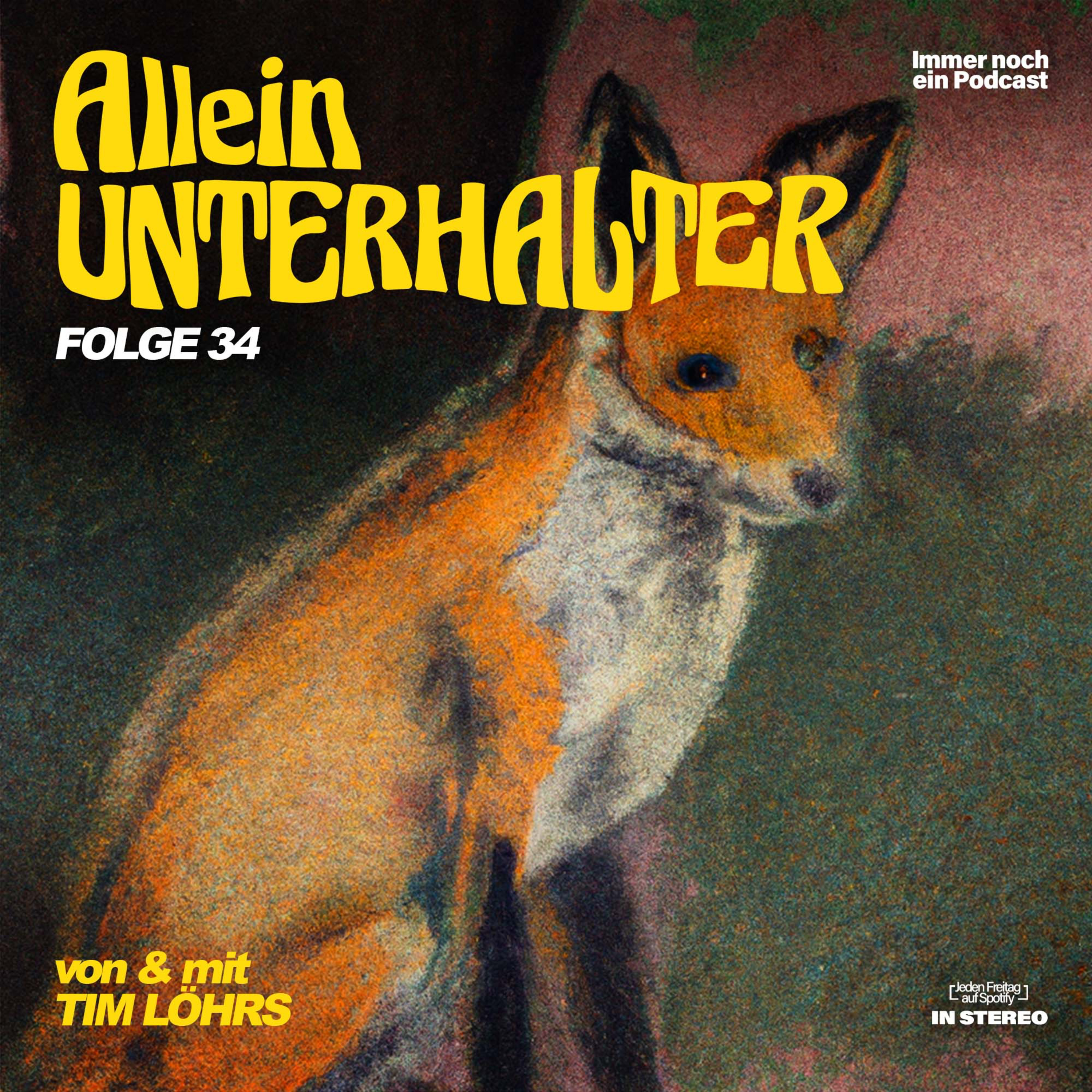 Alleinunterhalter