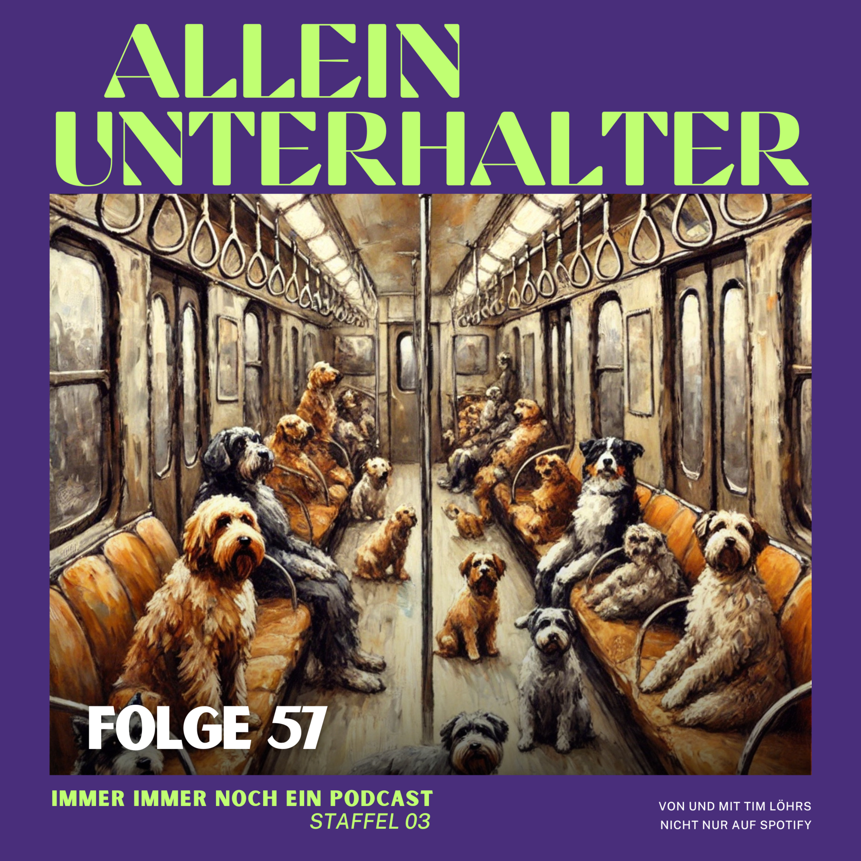 Alleinunterhalter