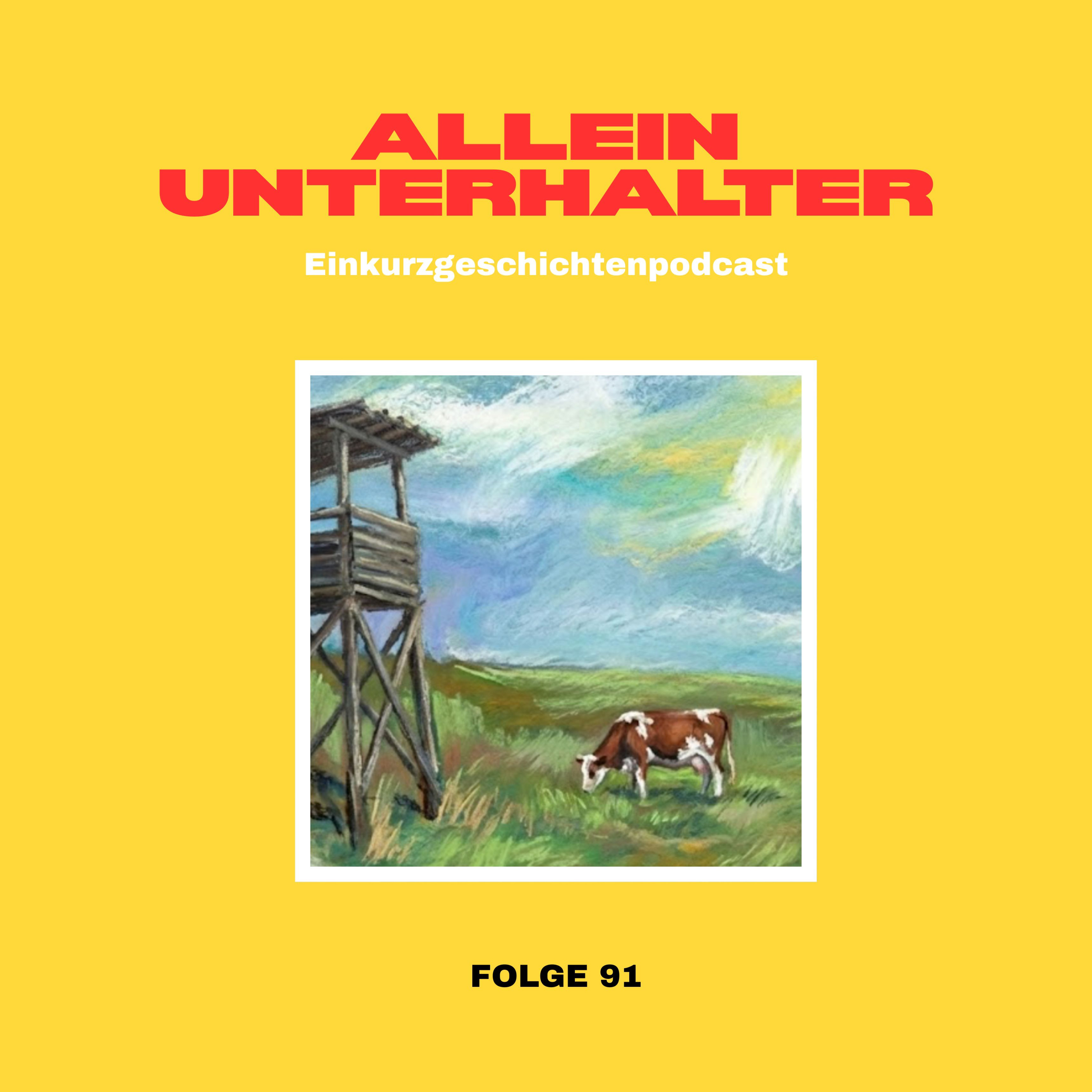 Alleinunterhalter