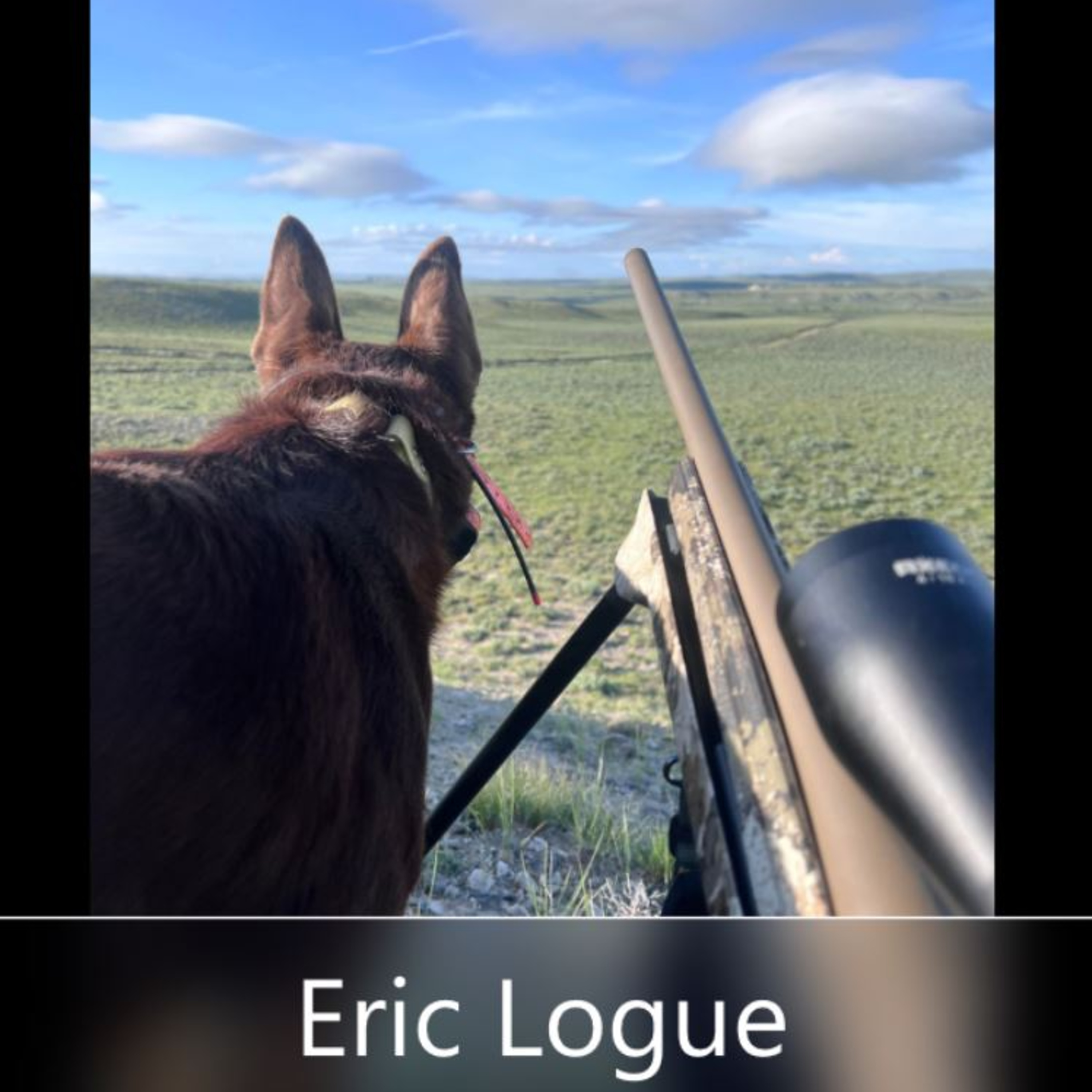 Episode #5 Eric Logue episode artwork