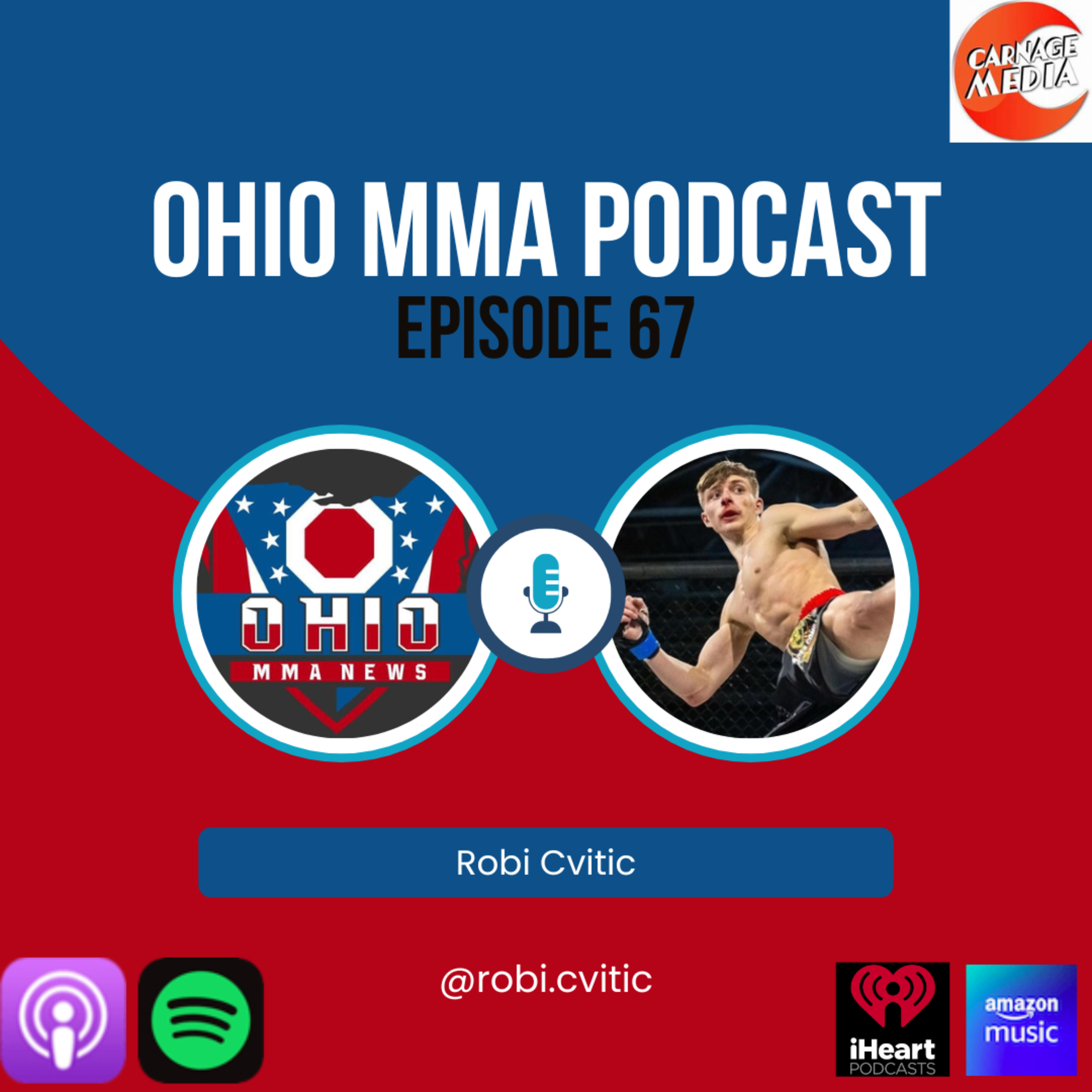 Episode 67 - Robi Cvitic episode artwork
