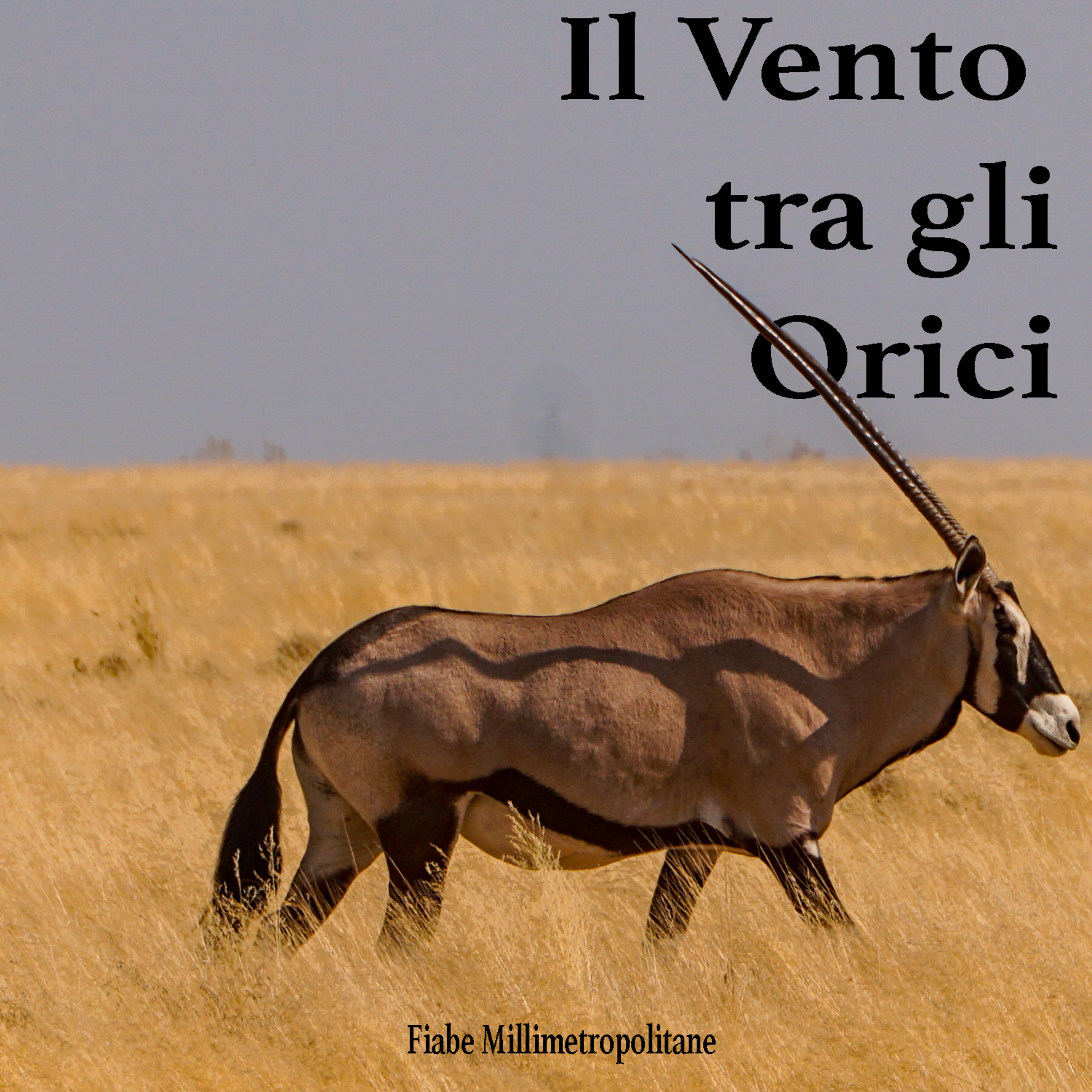 Puntata 6s04 - Il Vento tra gli Orici