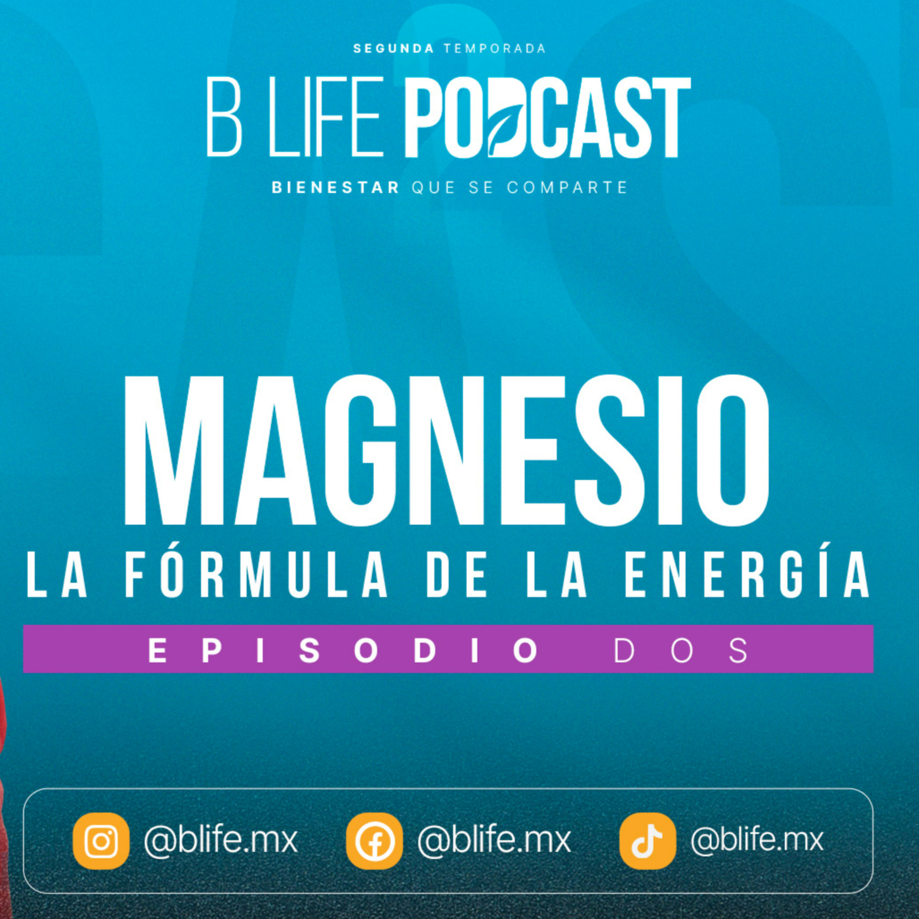 B Life Podcast