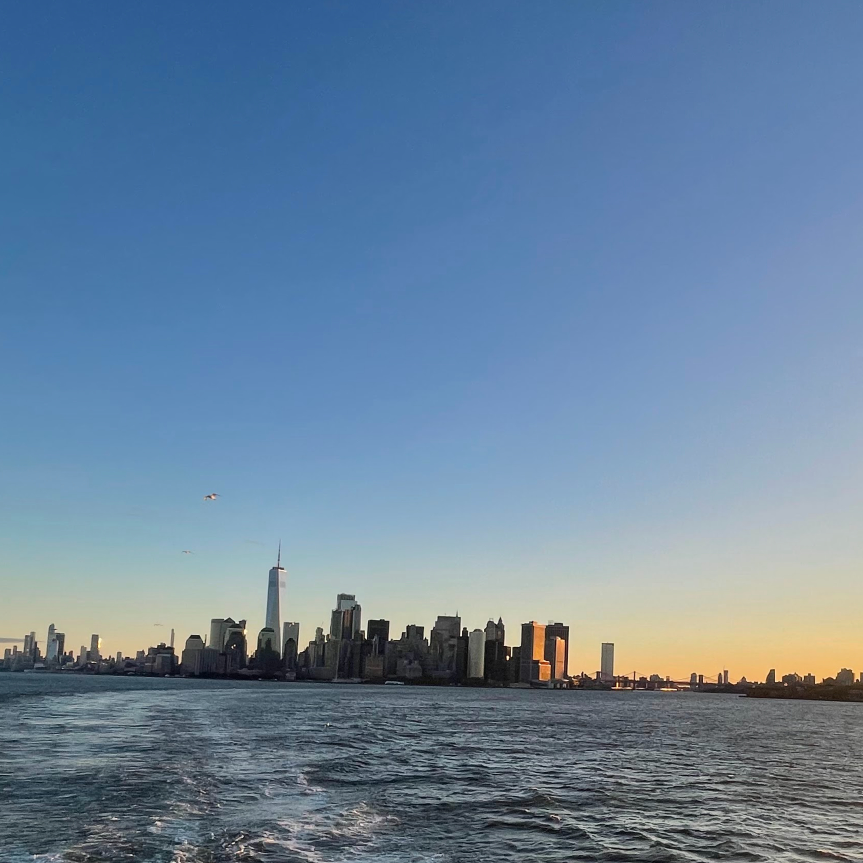 Better Together Here: Exploring NYC