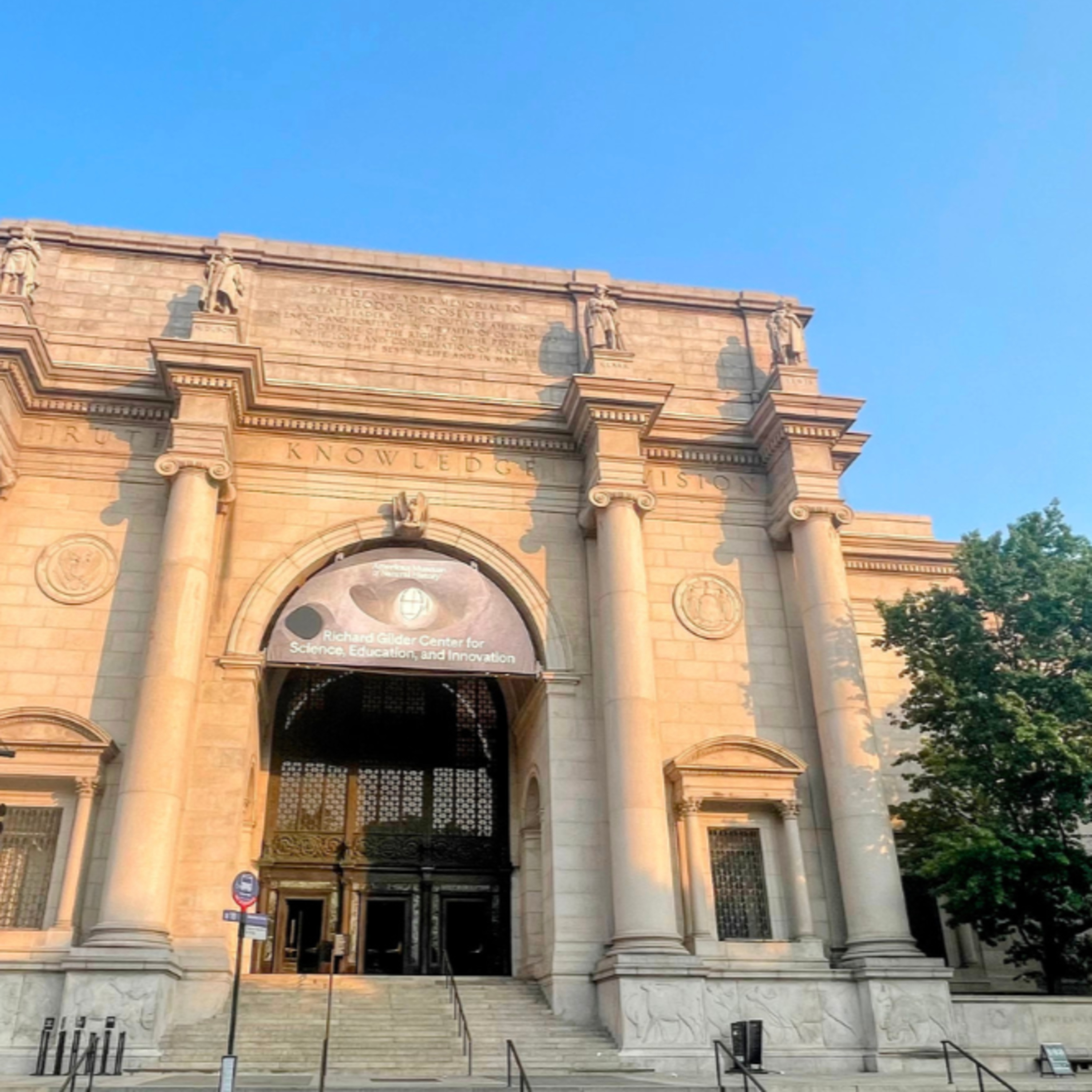 American Museum of Natural History NYC: What to See, Costs & Tours