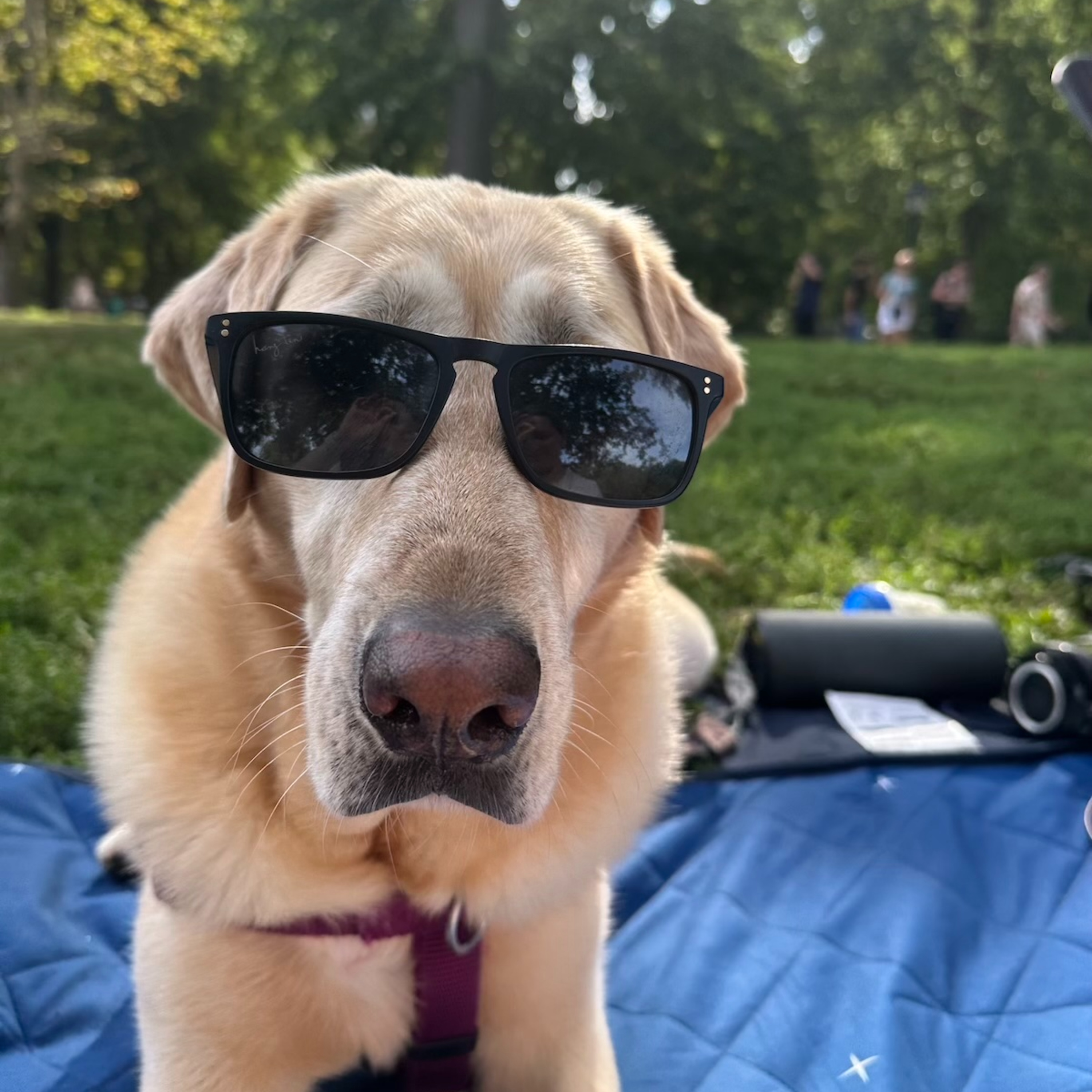 Surviving NYC's Summer Heat: Activities, Tips & Packing List