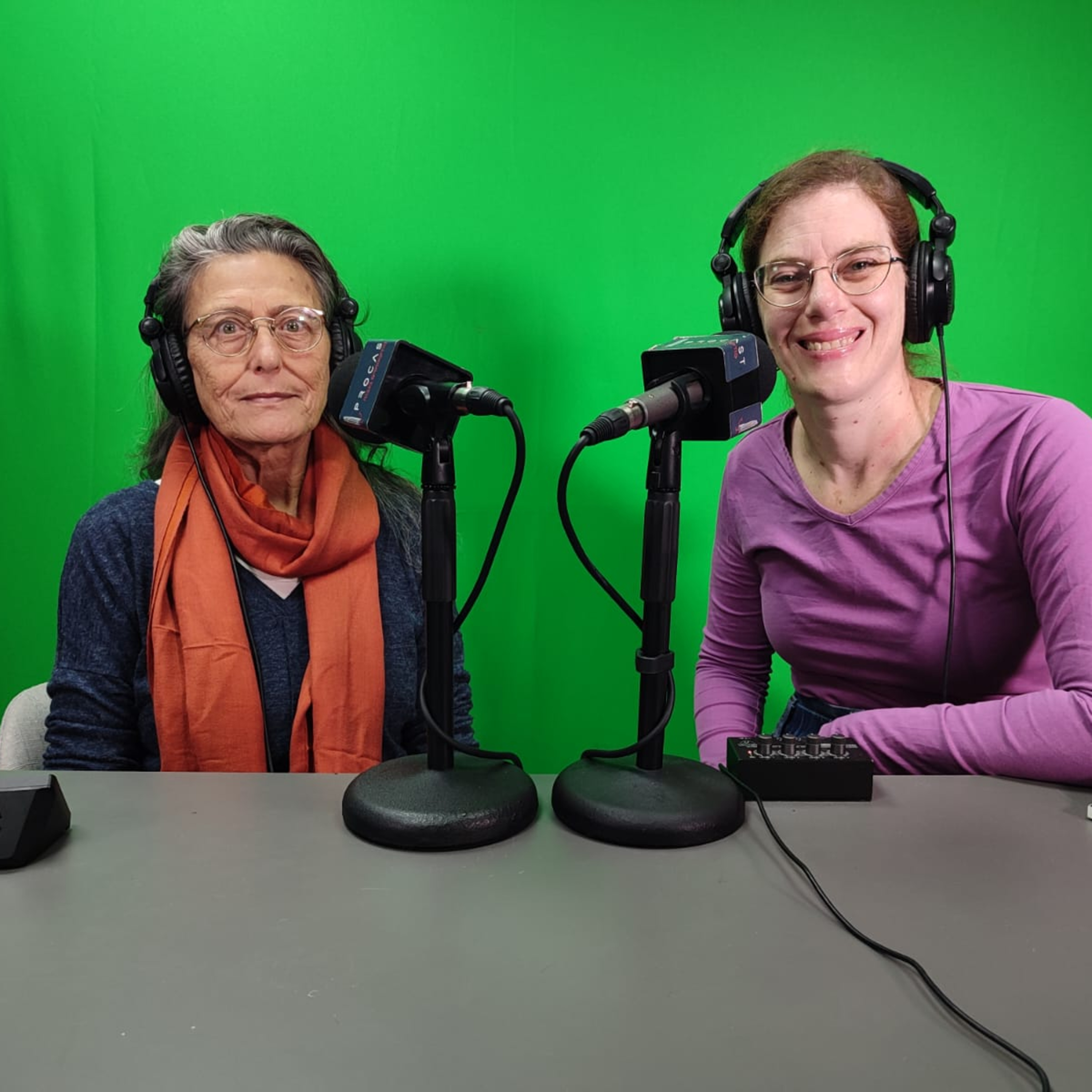 הרשות המבצעת