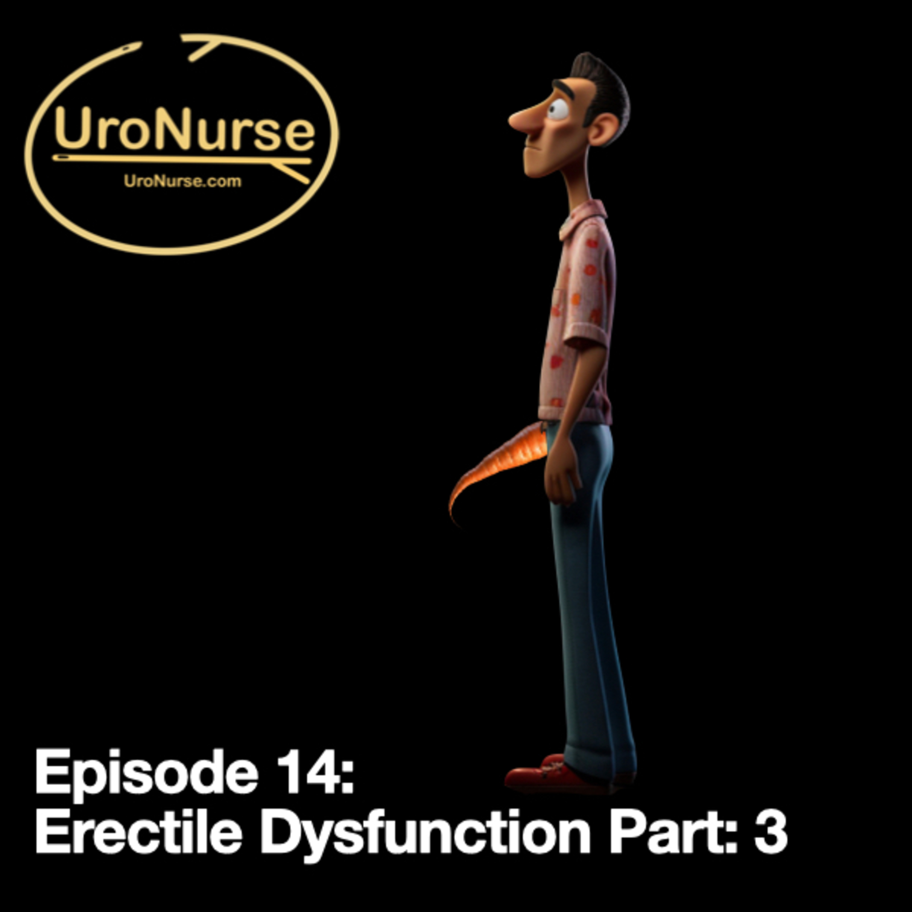 Episode 14: Erectile Dysfunction Part: 3