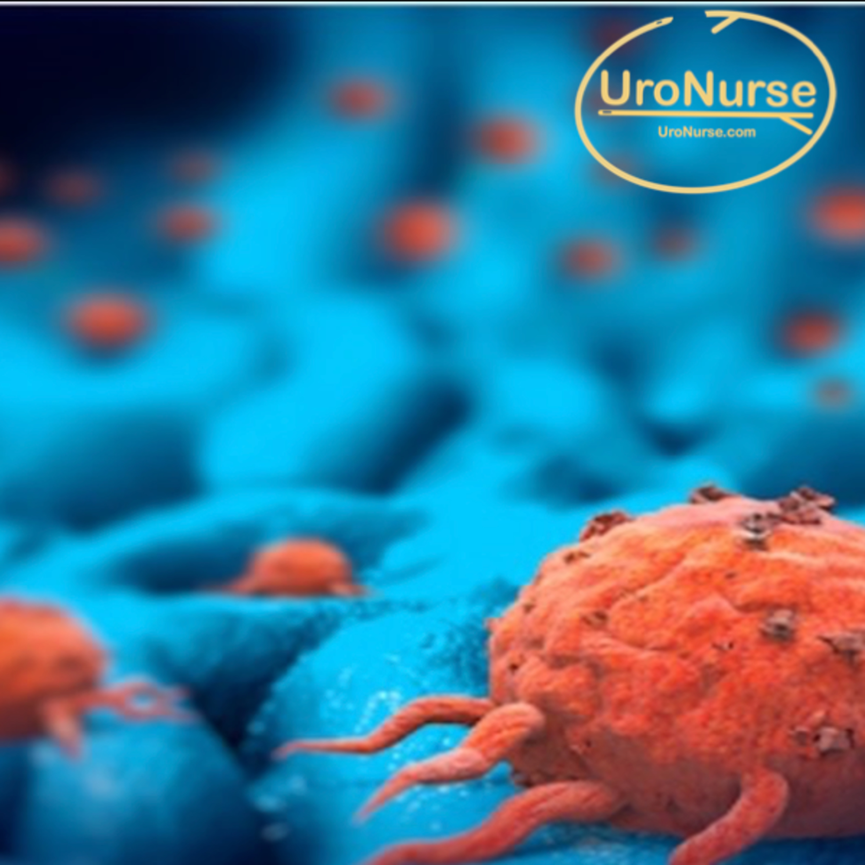 UroNurse