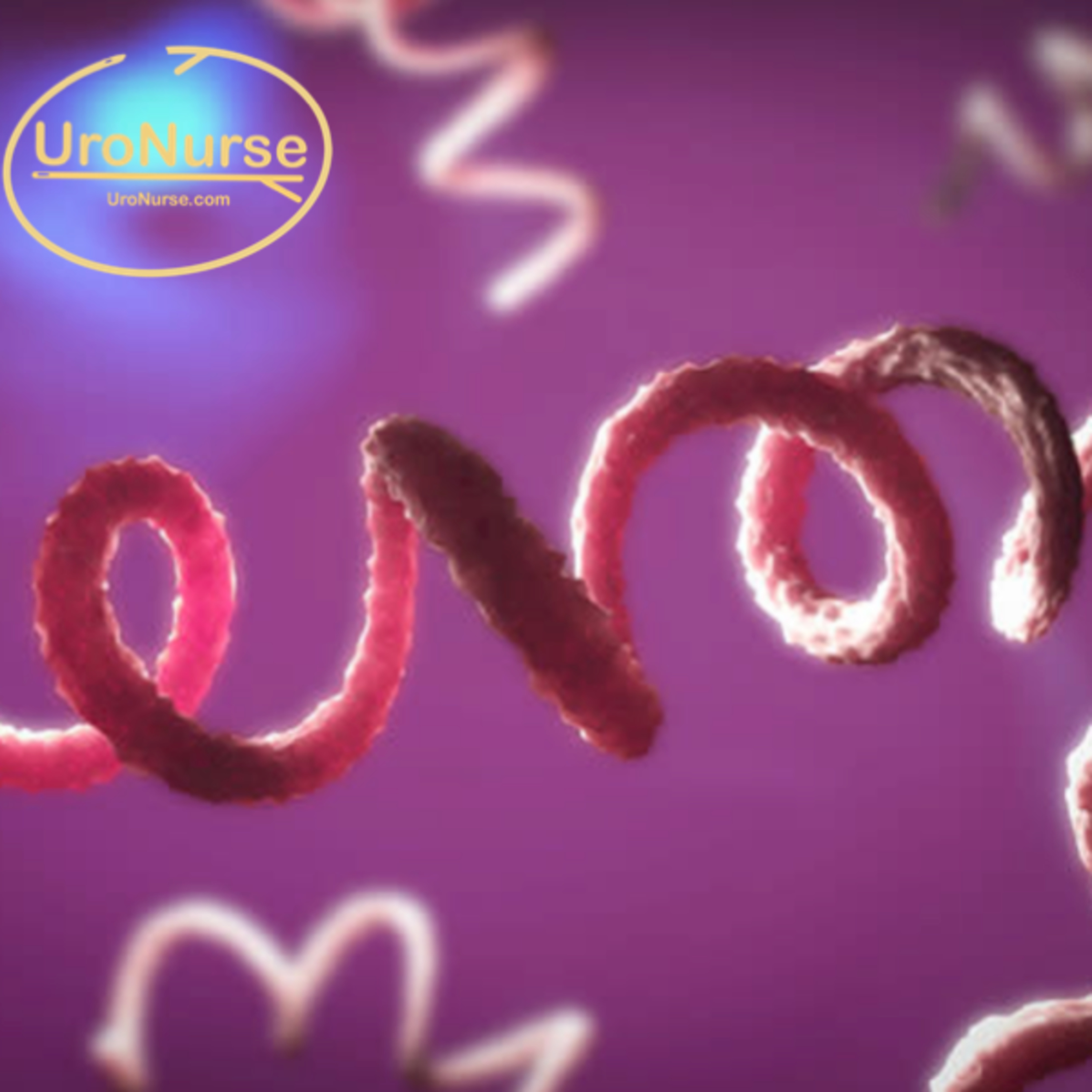 UroNurse