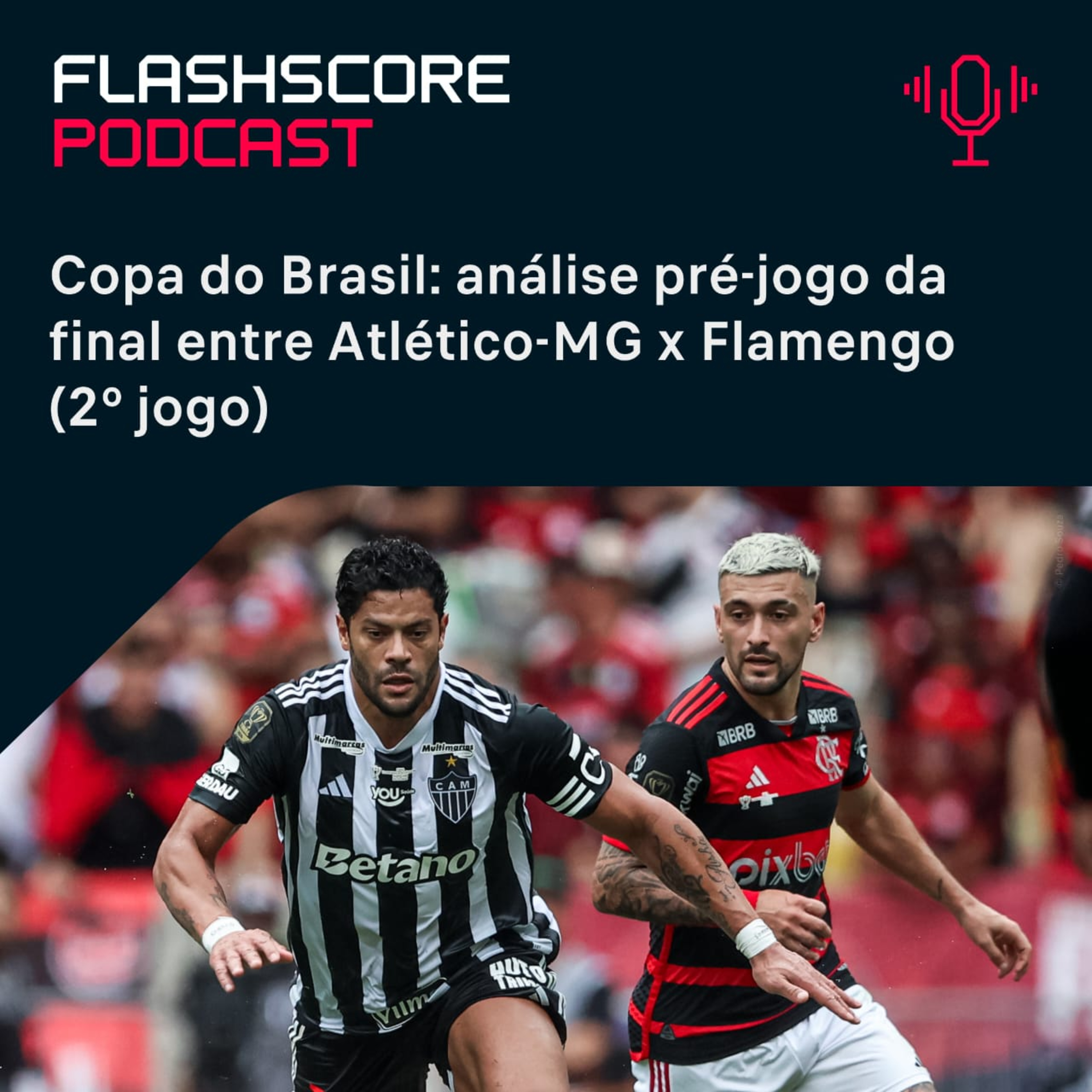 Flashscore Brasil
