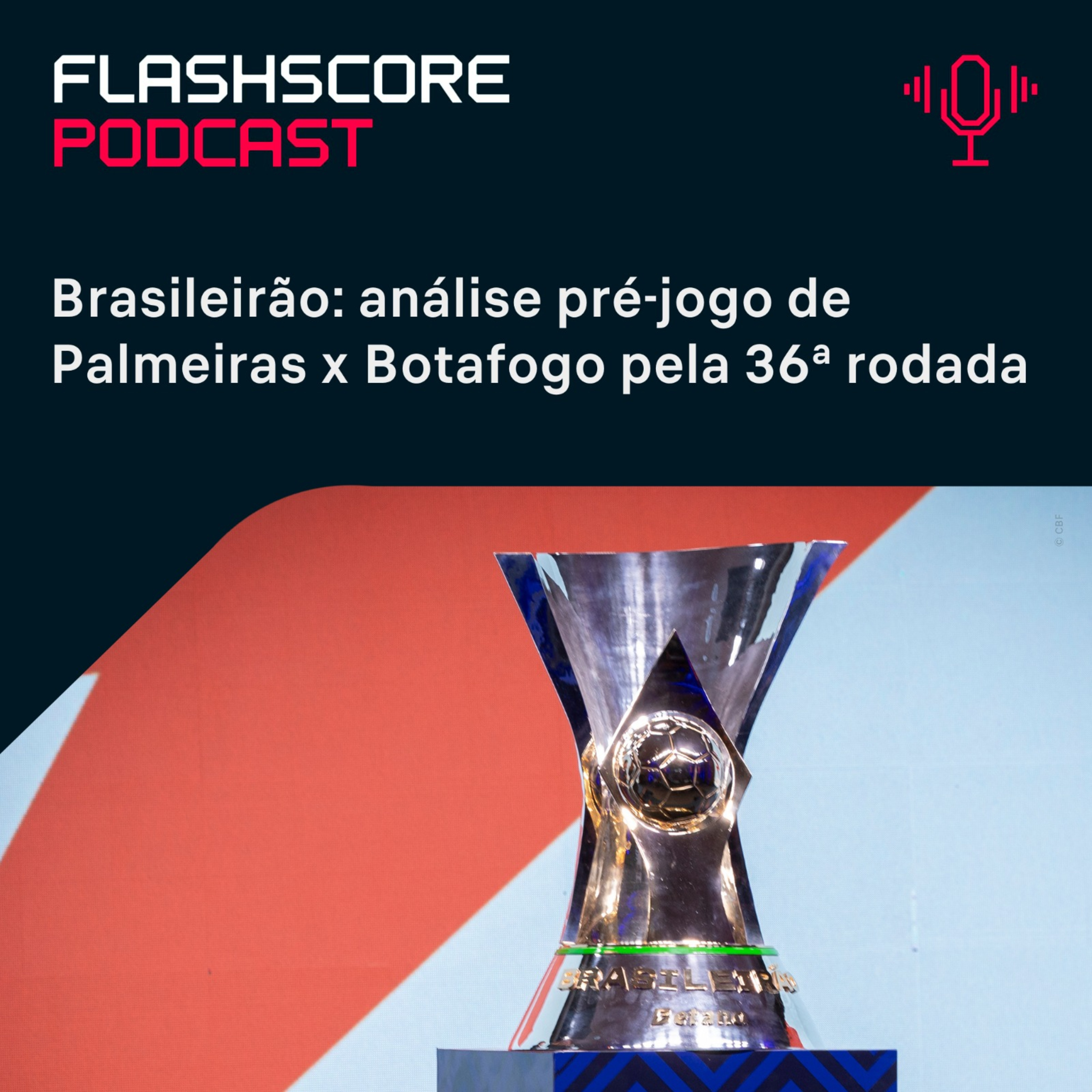 PRÉ-JOGO FLASHSCORE: Palmeiras x Botafogo episode artwork