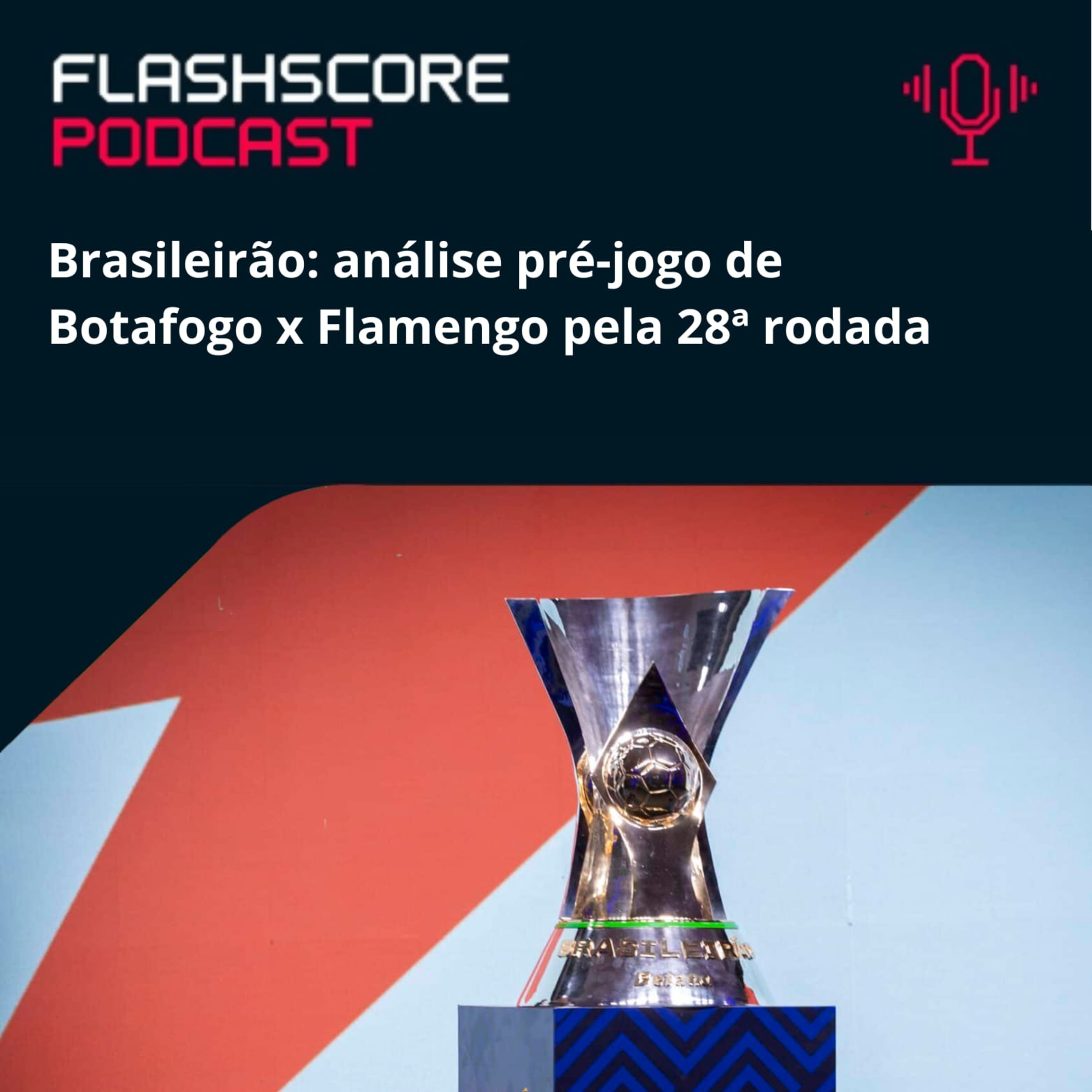 PRÉ-JOGO BRASILEIRÃO: Botafogo x Flamengo episode artwork