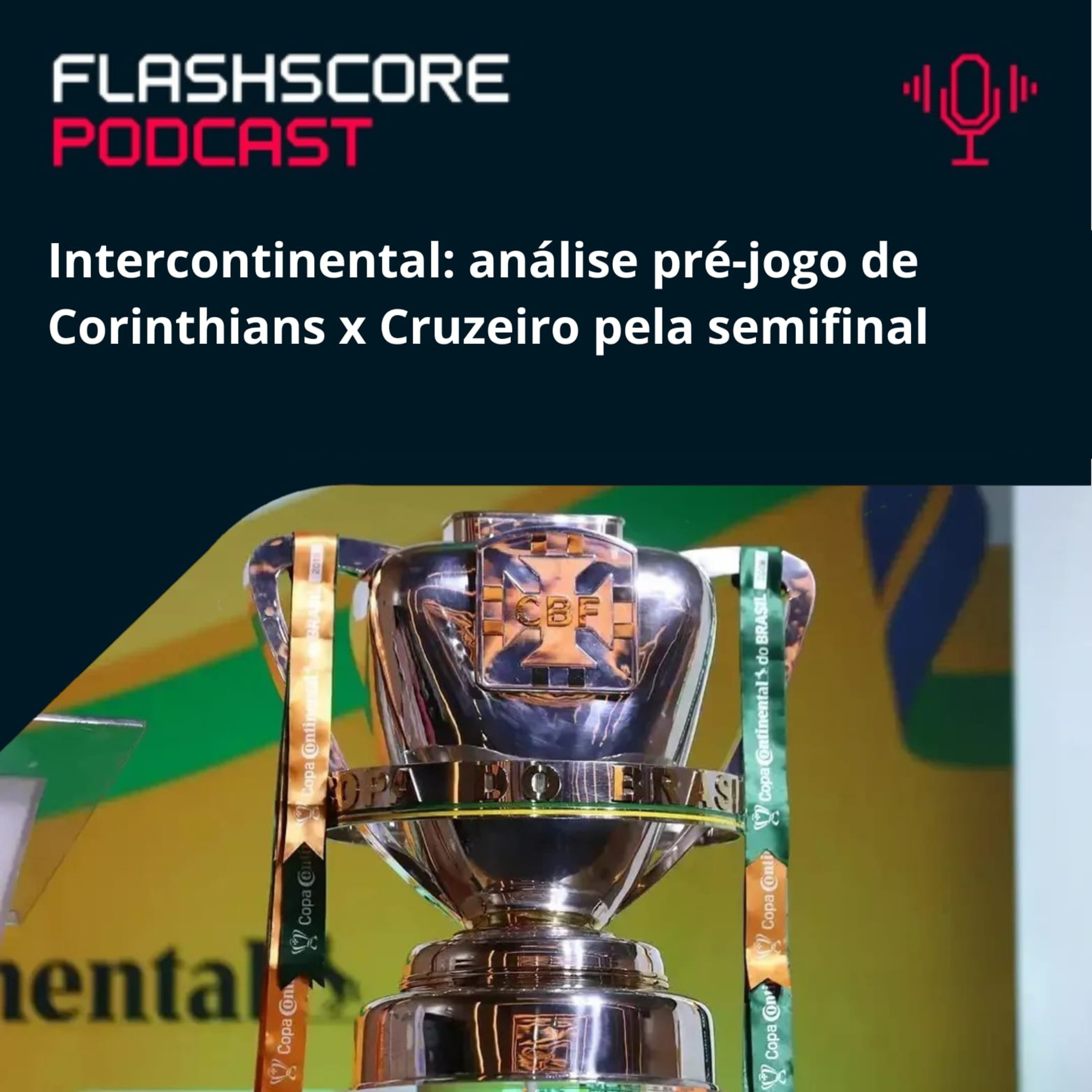 PRÉ-JOGO COPA DO BRASIL: CORINTHIANS X CRUZEIRO PRÉ-JOGO COPA DO BRASIL: CORINTHIANS X CRUZEIRO