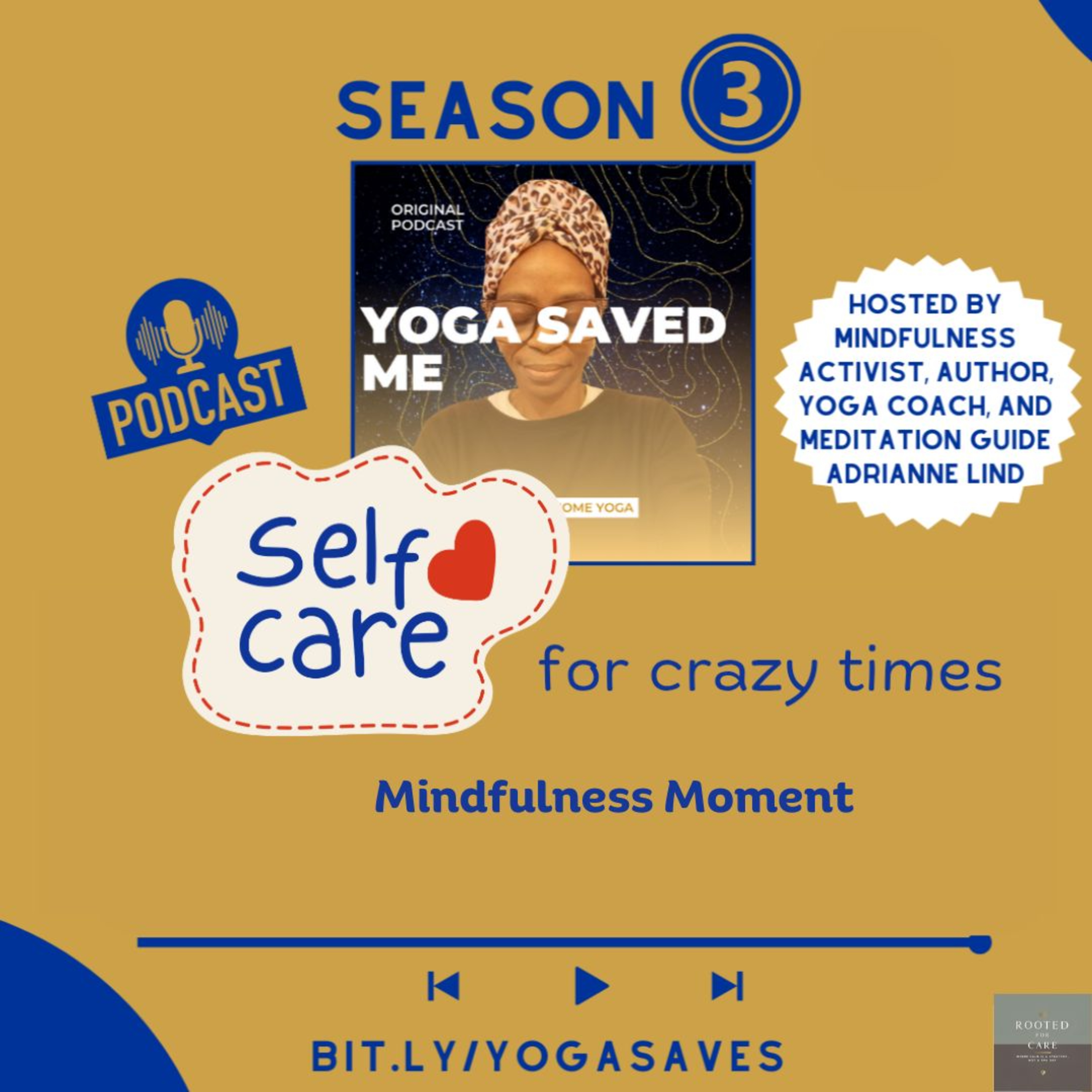 Mindful Moment - Selfcare for Crazy Times episode artwork