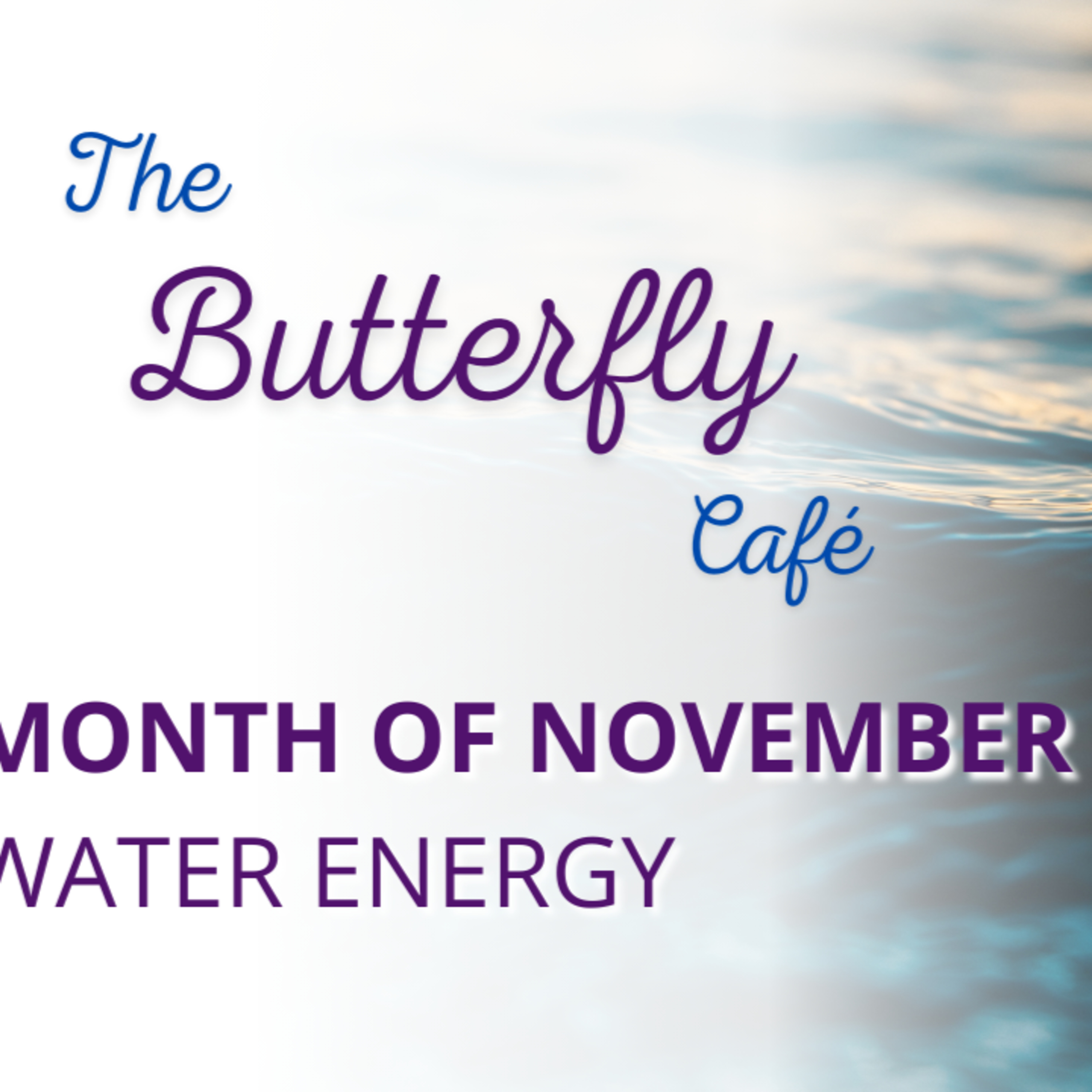 The Butterfly Cafe