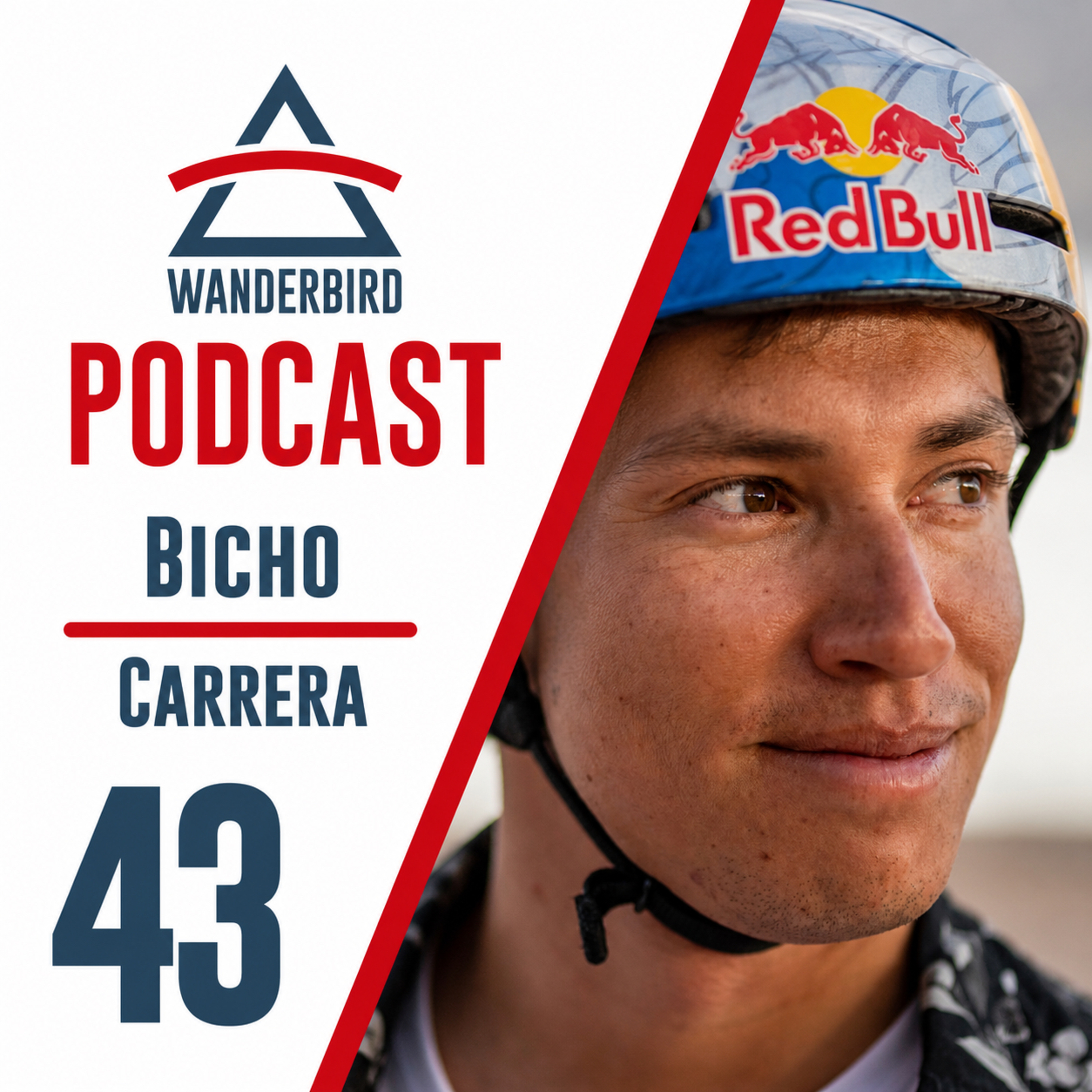 #43: Bicho Carrera