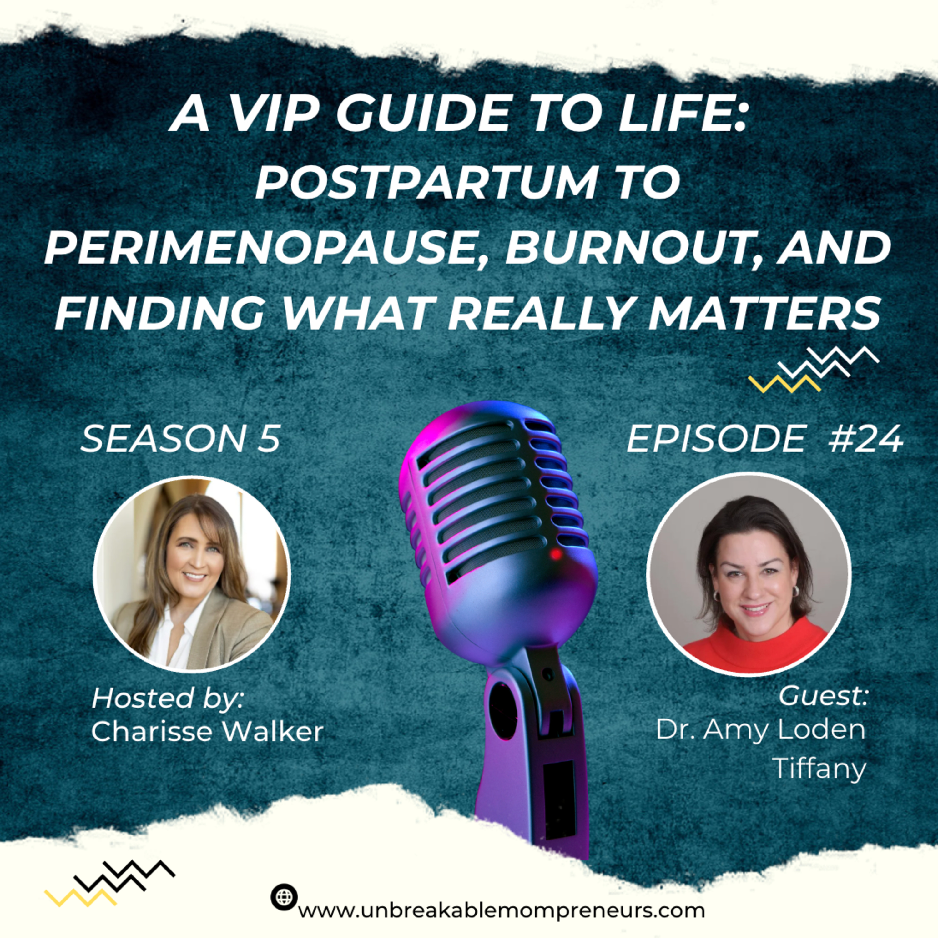 The VIP Guide to Life | Postpartum to Perimenopause, Burnout, and Finding What Really Matters episode artwork