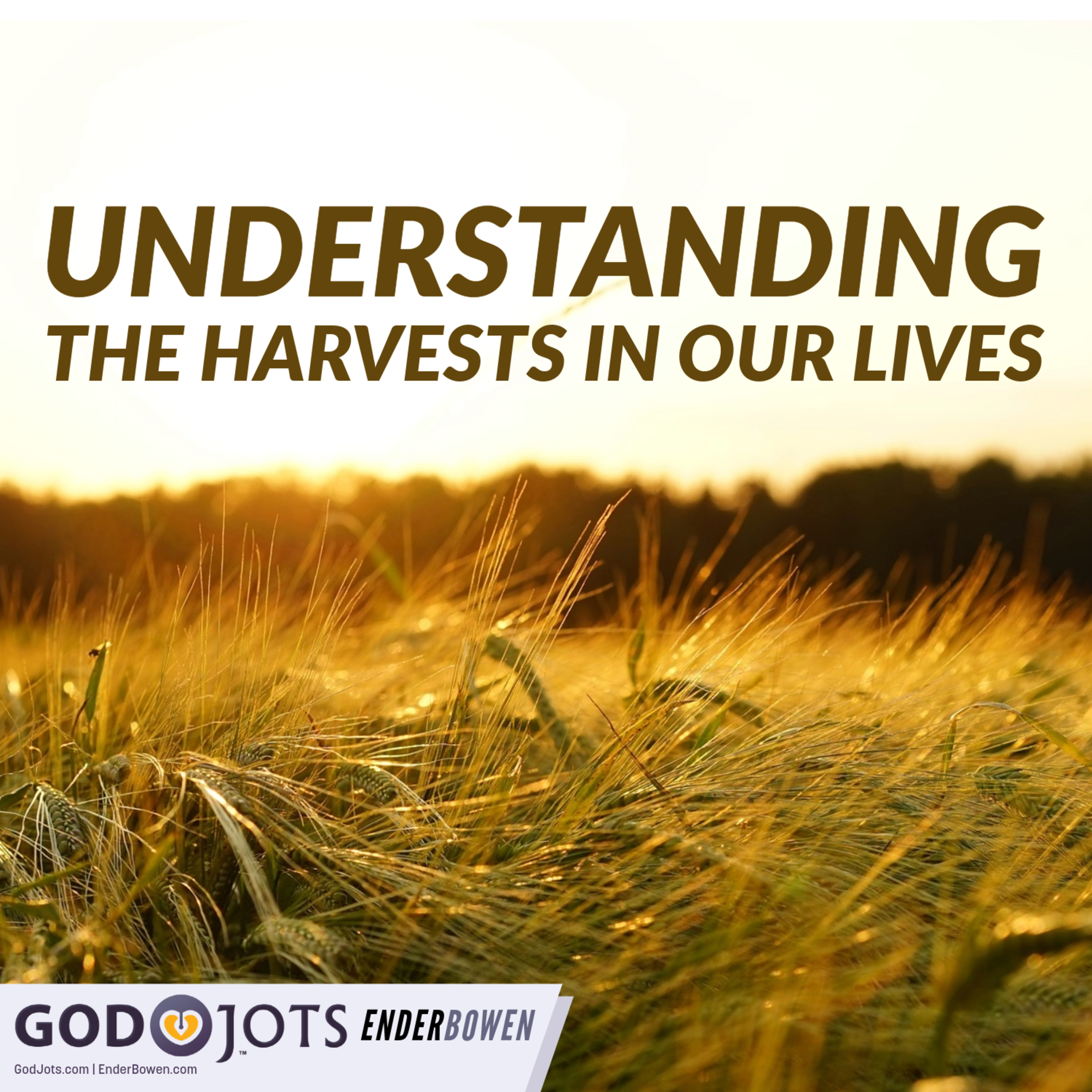 Understanding The Harvests In Our Lives episode artwork