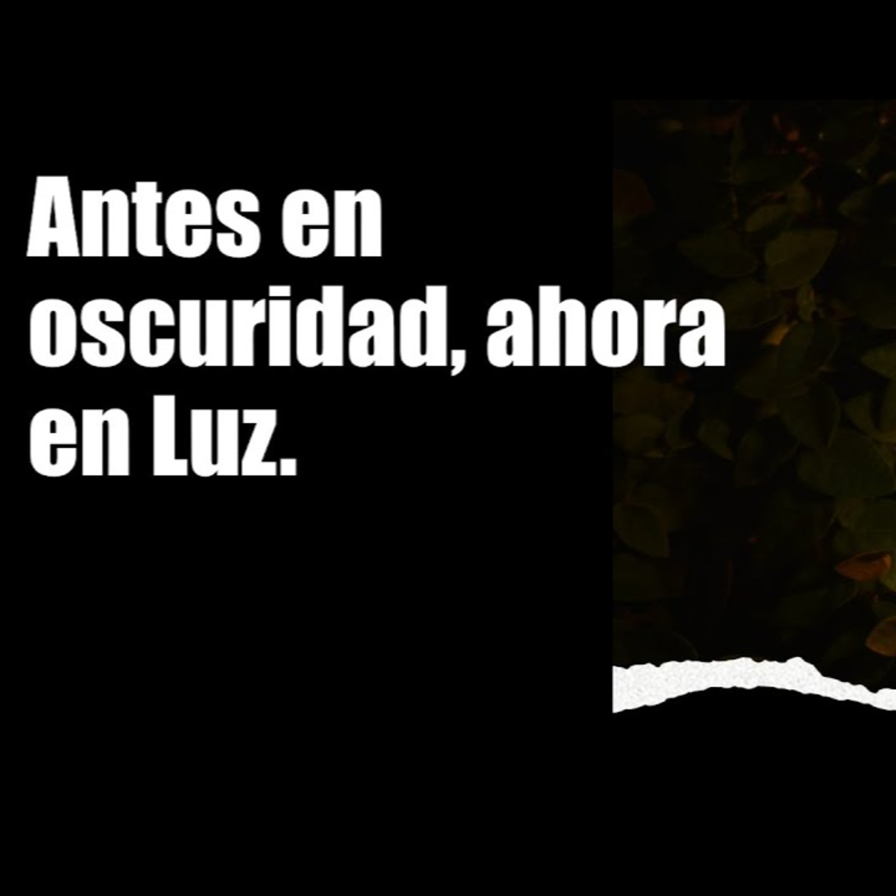 G3:16 Mixcoac