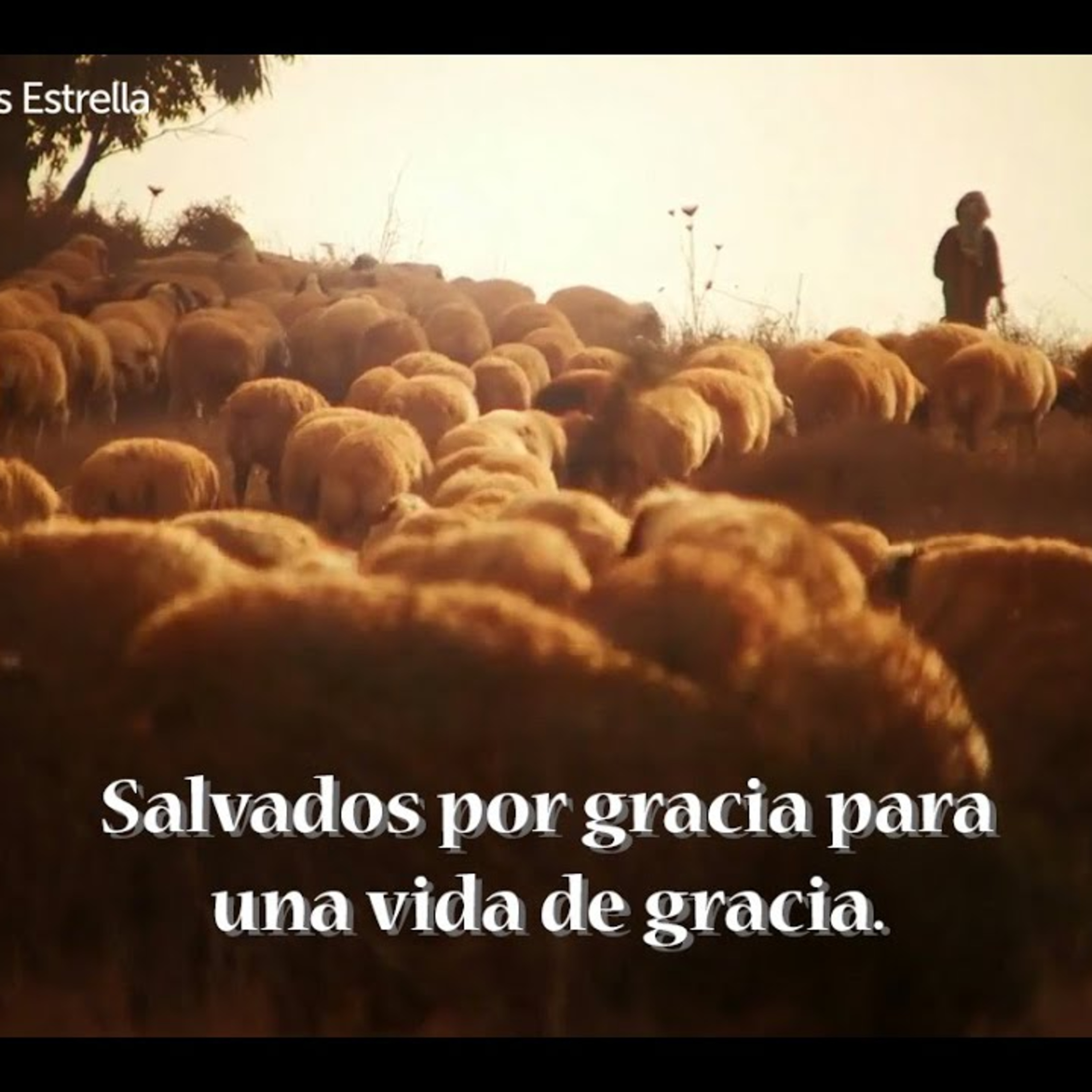 G3:16 Mixcoac