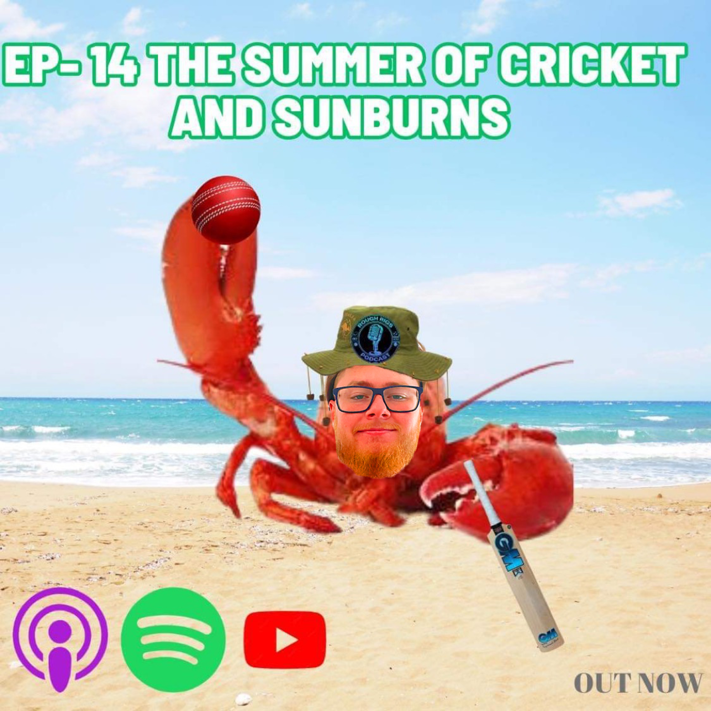 Ep 14- The Summer of Cricket and Sunburns episode artwork