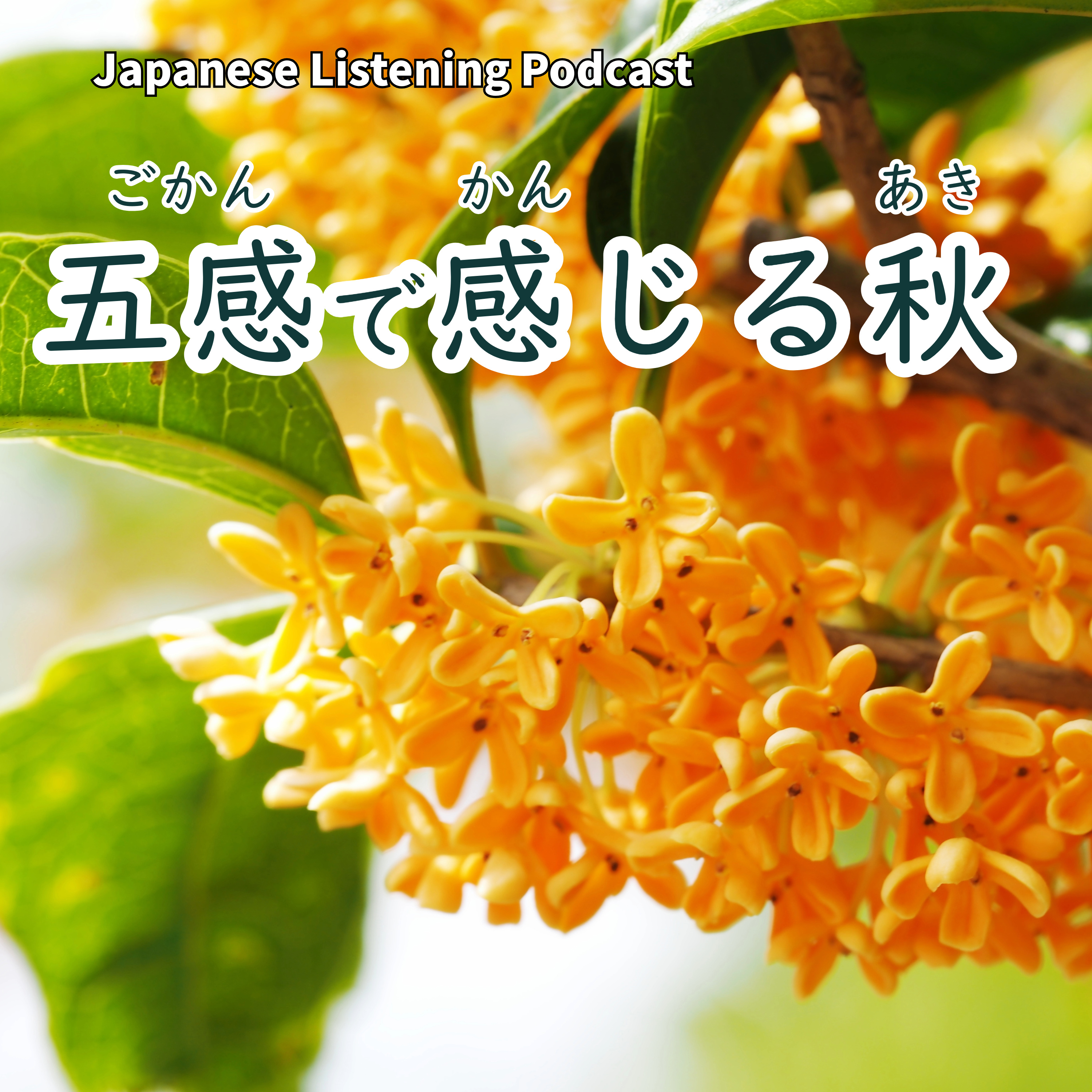 117　五感で感じる秋｜Autumn Through the Five Senses｜用五感感受秋天｜Learn Japanese Podcast【N3】