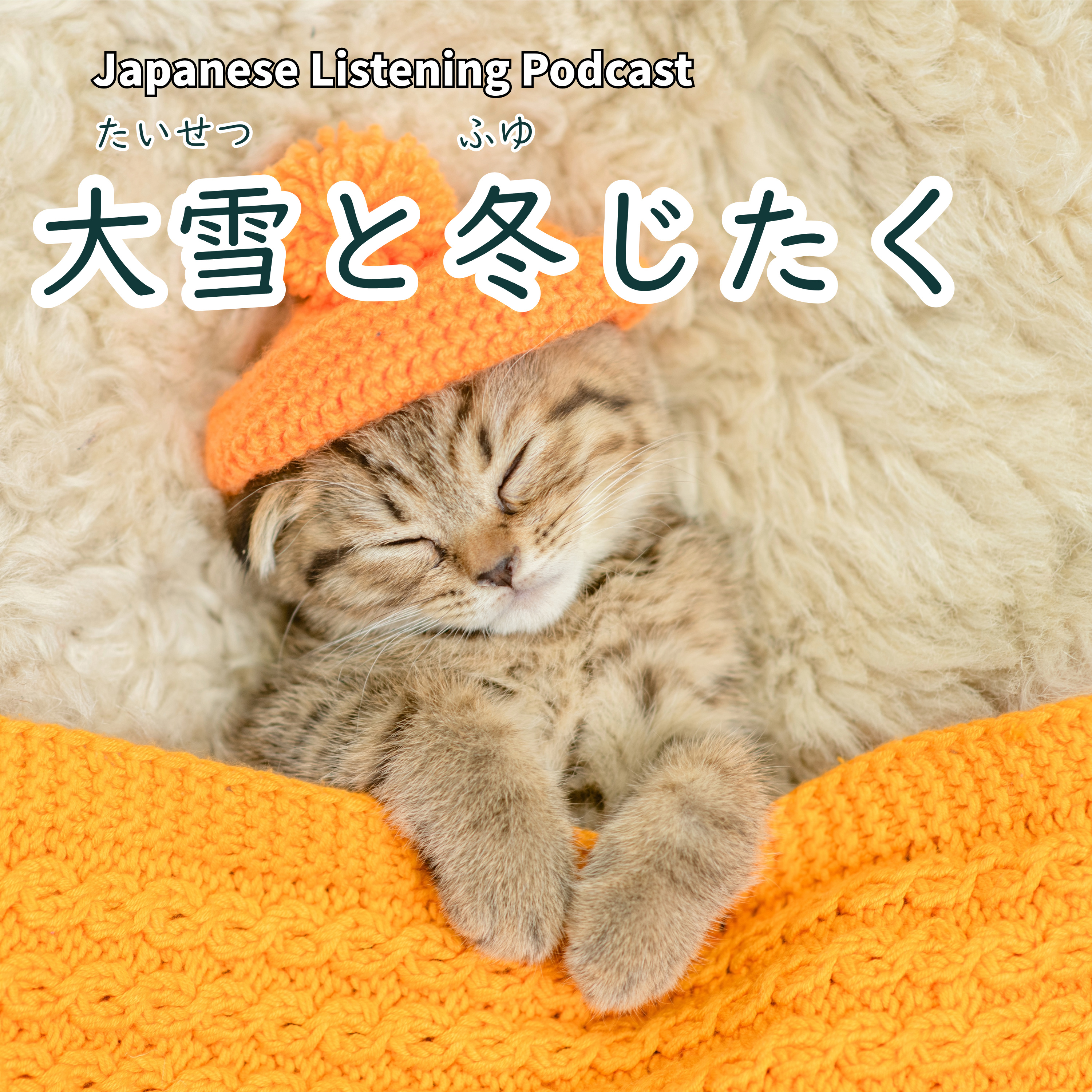 122　大雪と冬じたく｜Taisetsu (Major Snow) and Getting Ready for Winter｜大雪與迎接冬天的準備【N３】