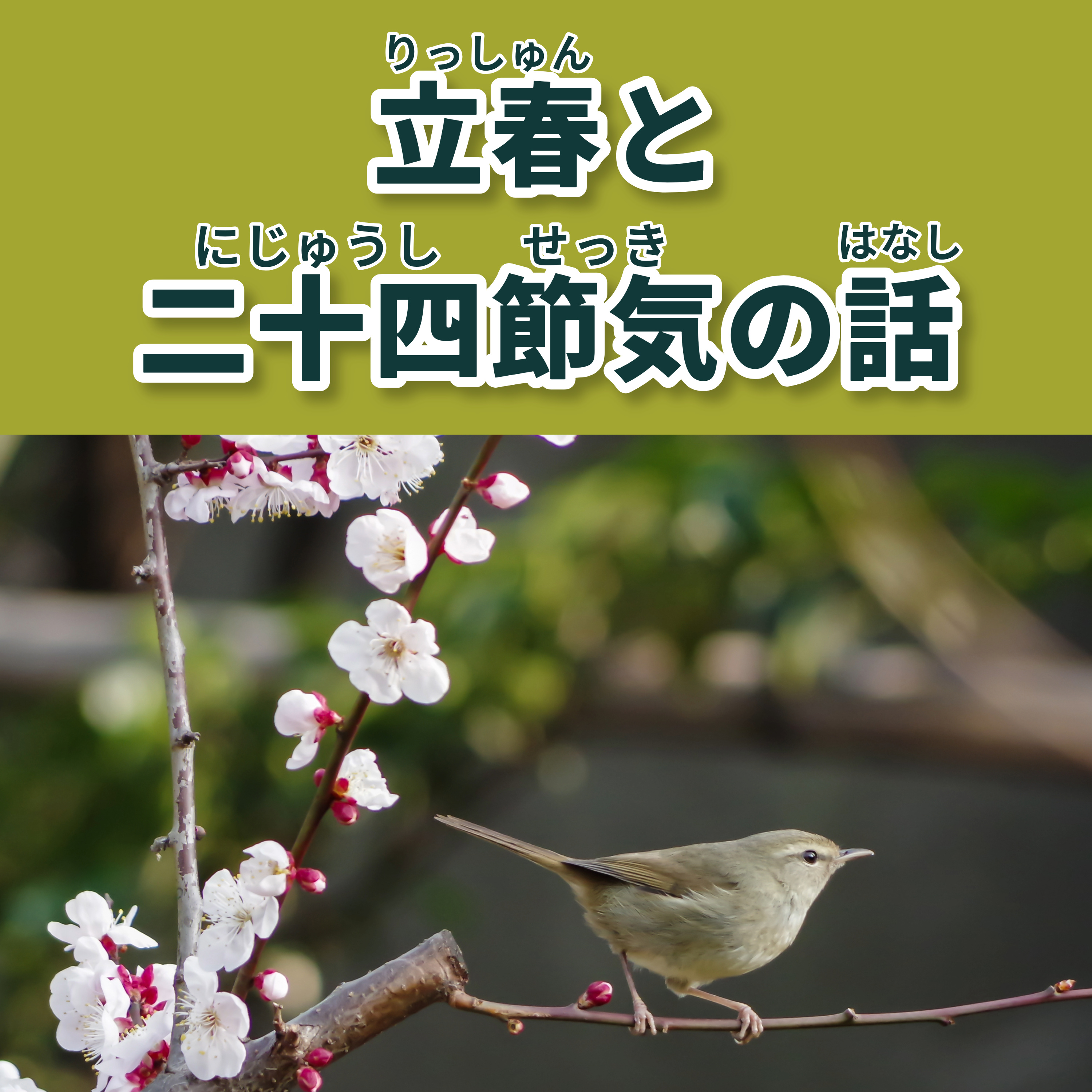 131　立春と二十四節気の話｜Risshun and the 24 Solar Terms｜關於立春與二十四節氣
