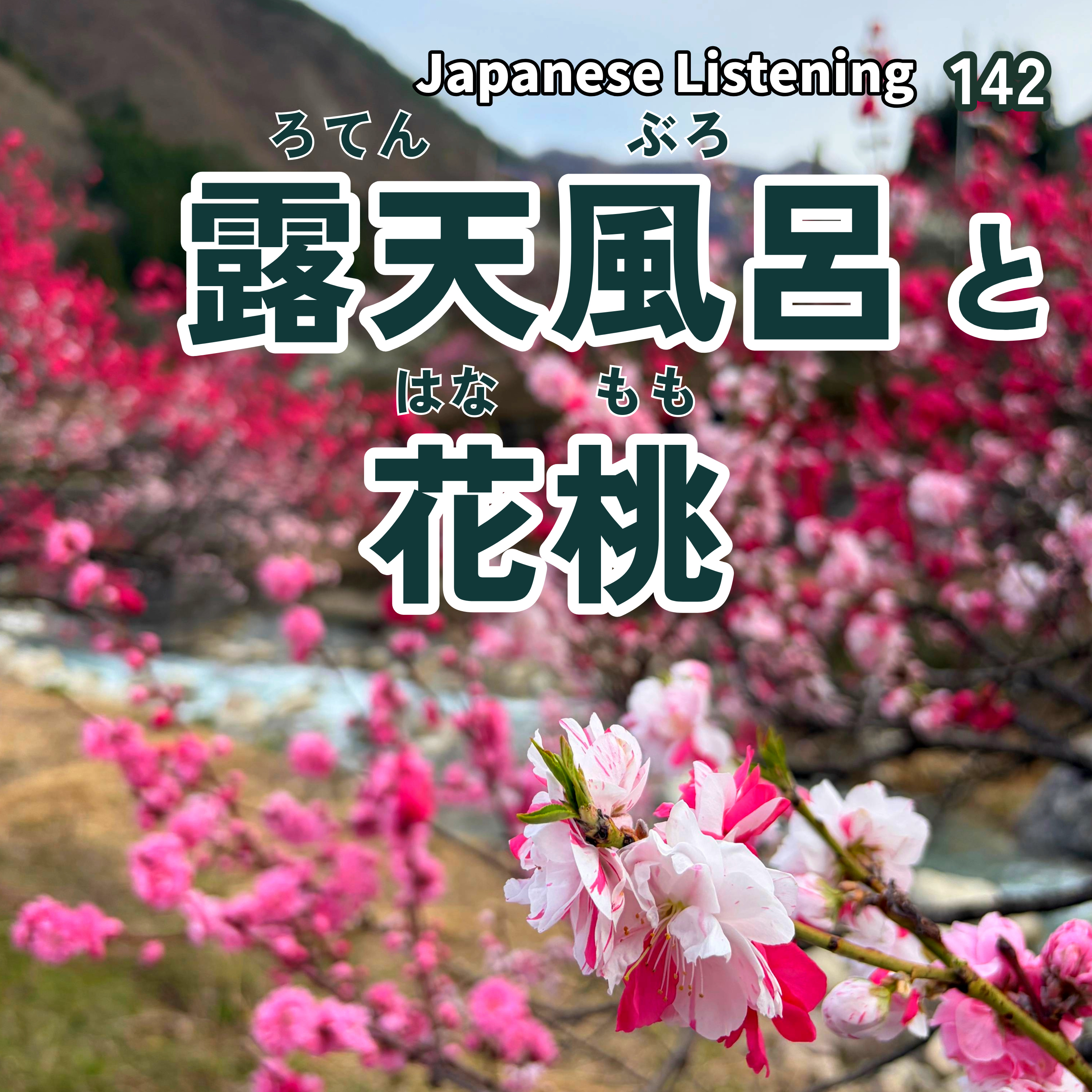 142　露天風呂（ろてんぶろ）と花桃（はなもも）｜Japanese Listening