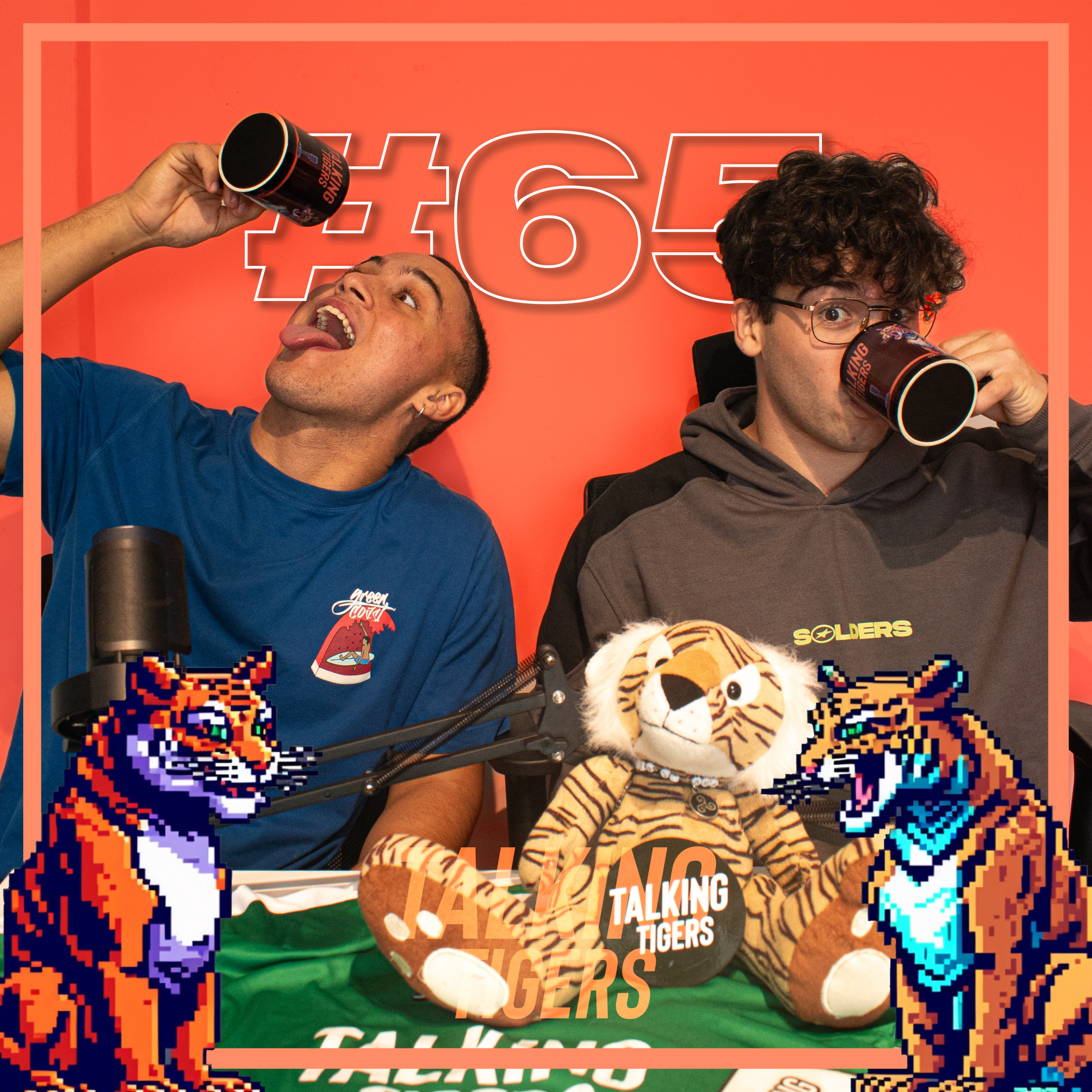 Talking Tigers #65 | Metas, Vuelta a la Rutina, Futuros Proyectos...