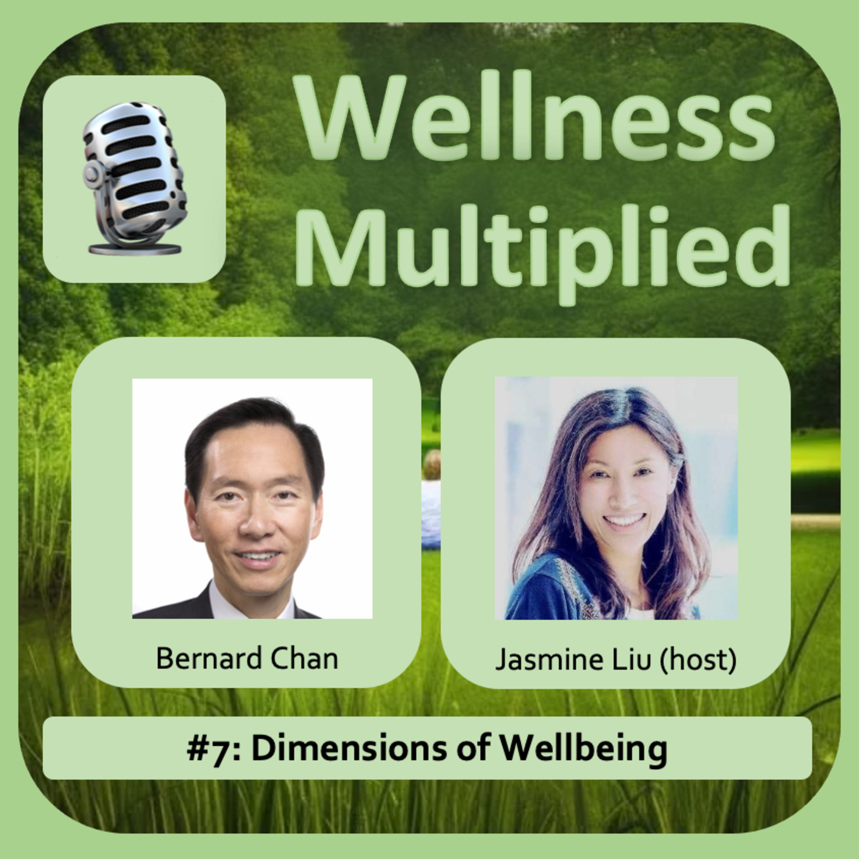 #7: Dimensions of Wellbeing episode artwork