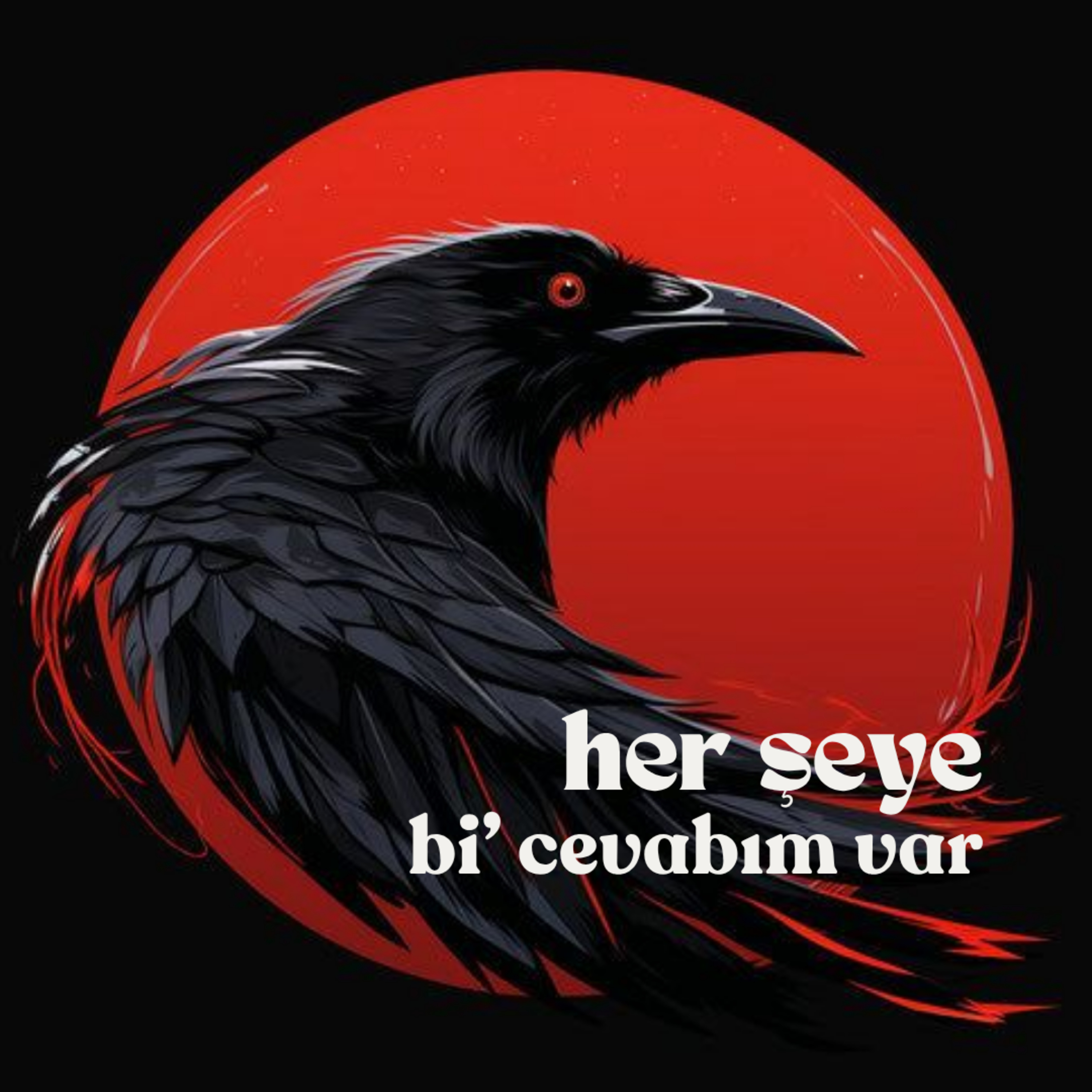Her Şeye Bi\' Cevabım Var