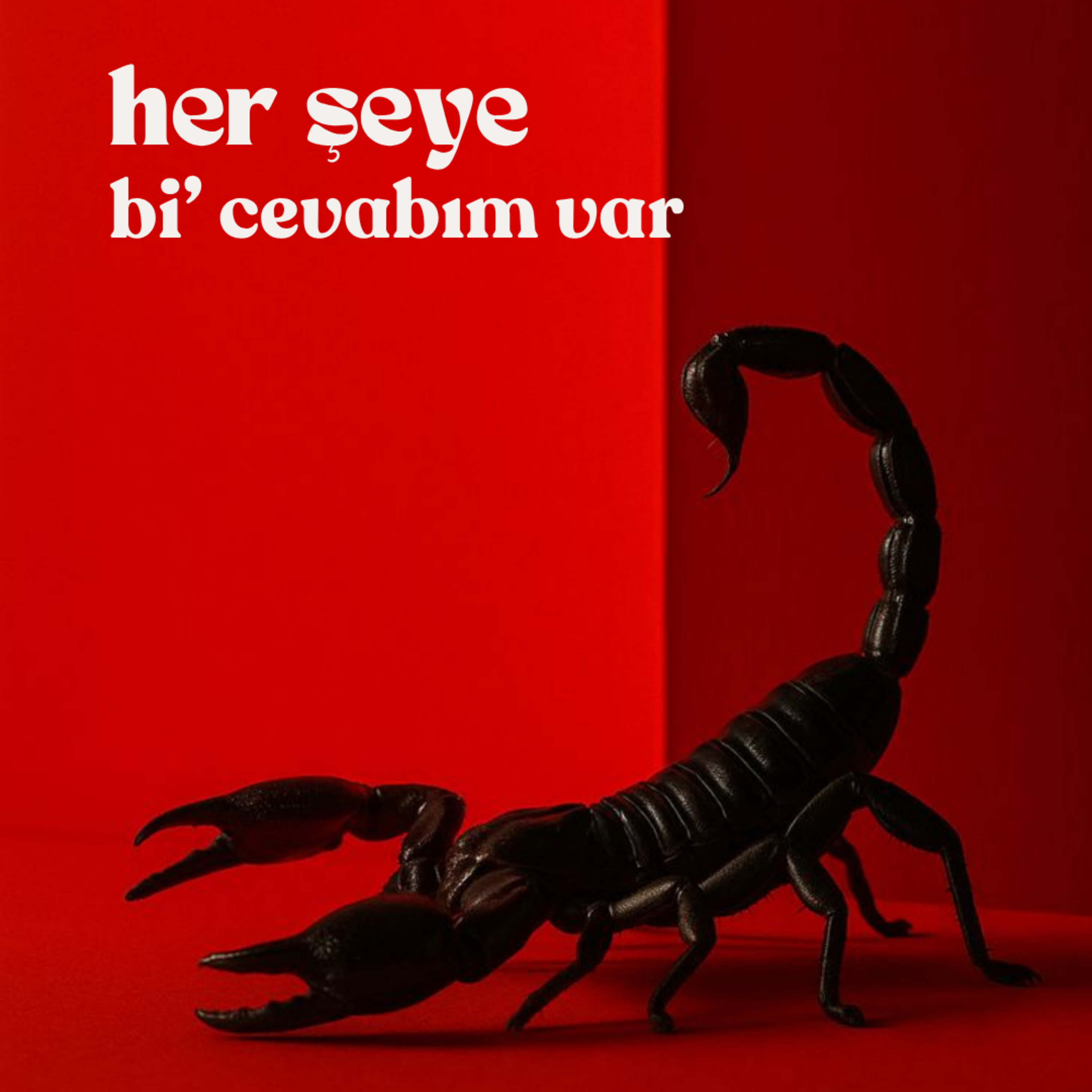 Her Şeye Bi\' Cevabım Var