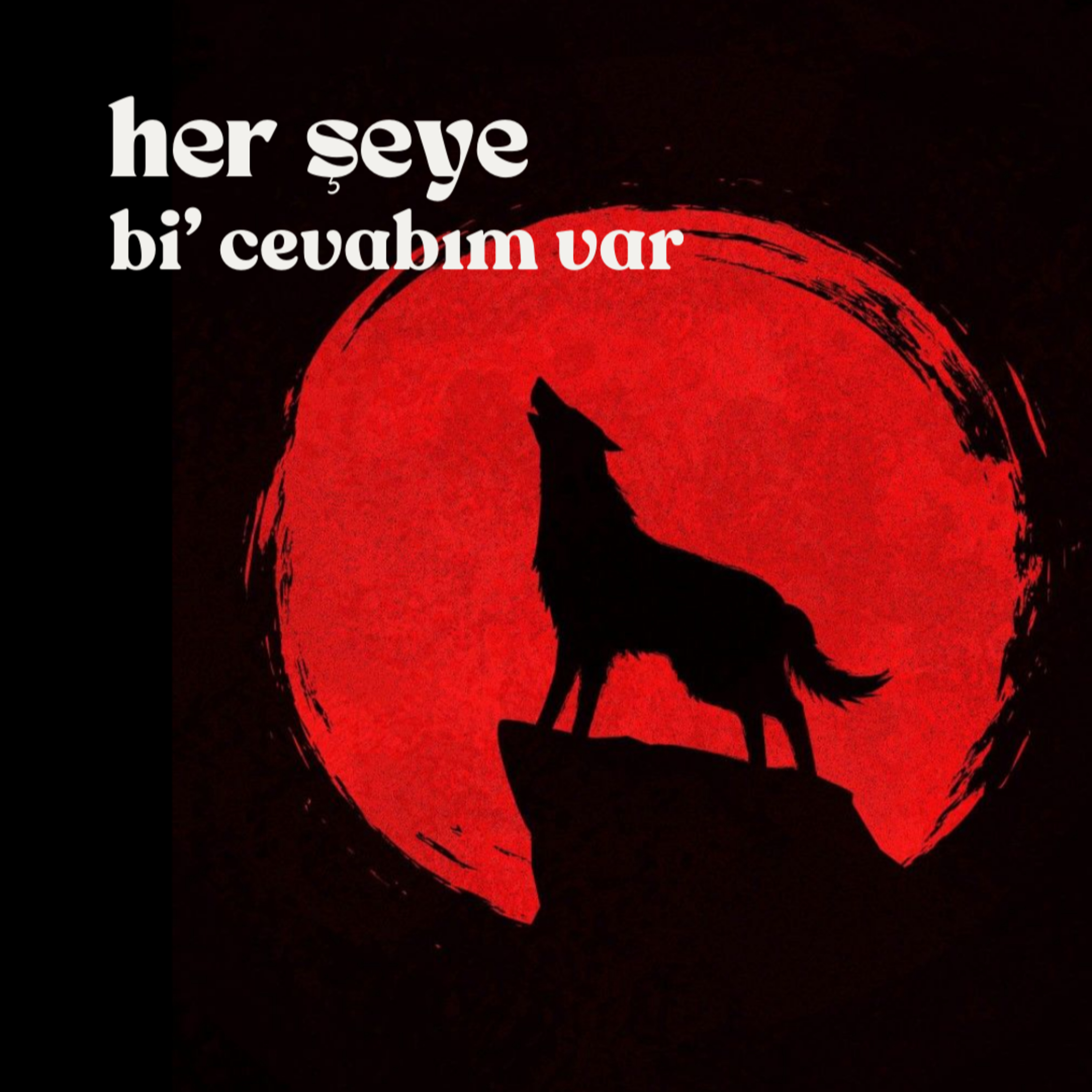 Her Şeye Bi\' Cevabım Var