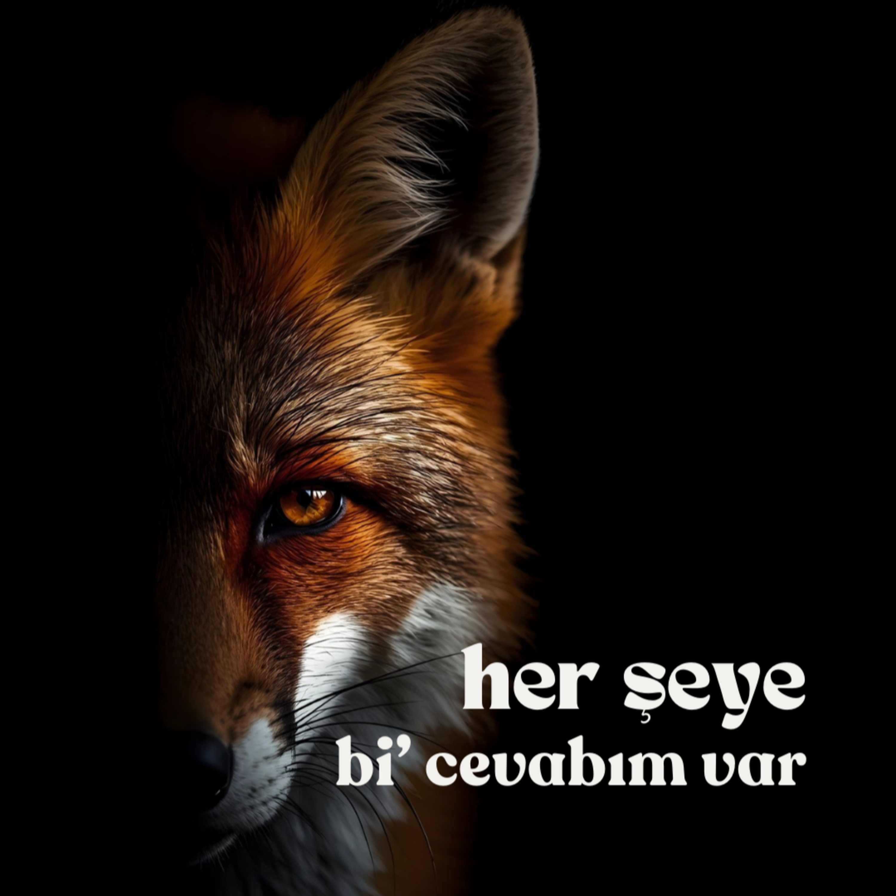 Her Şeye Bi\' Cevabım Var