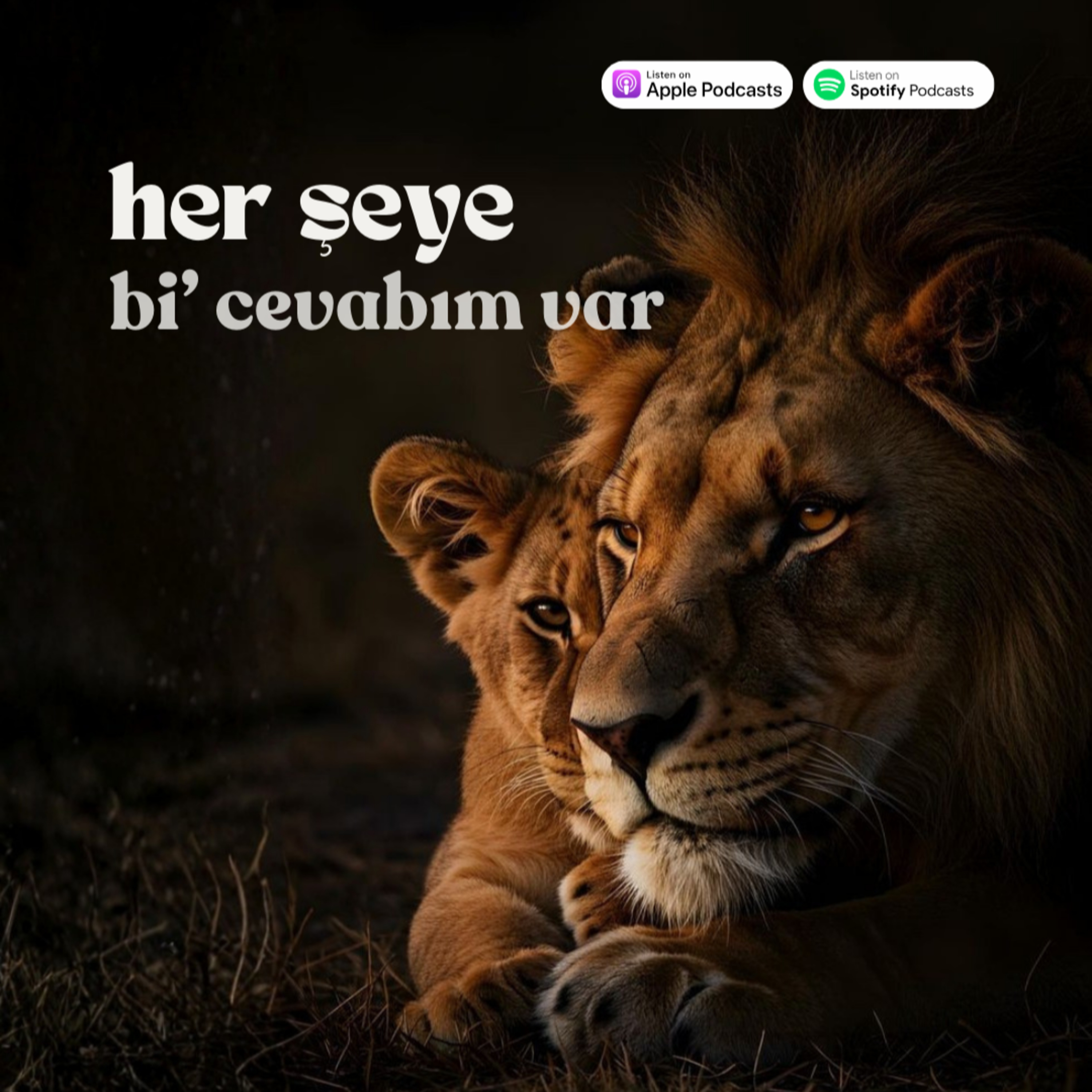 Her Şeye Bi\' Cevabım Var