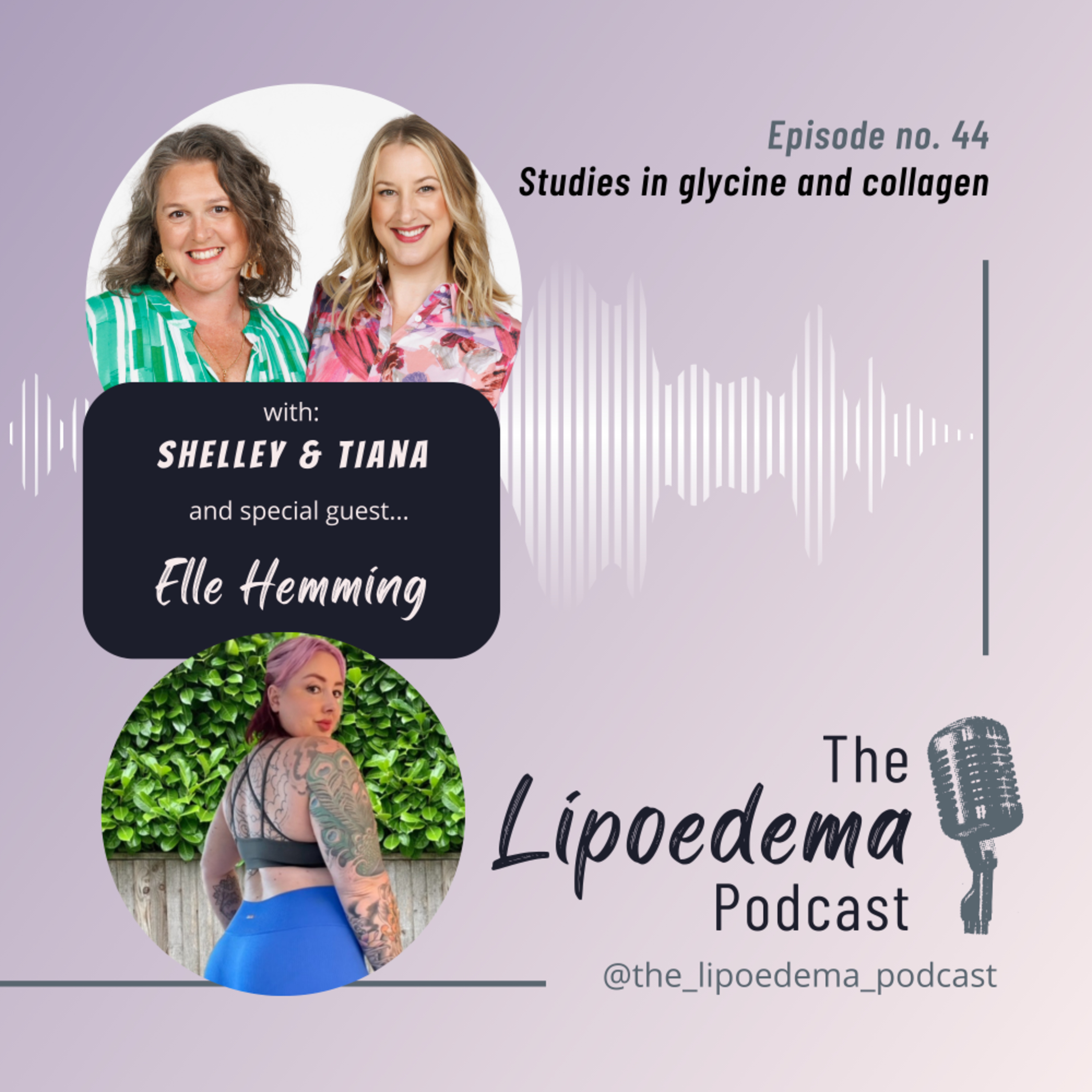 Episode 44 ~ Elle Hemming Studies in Glycine and Collagen episode artwork