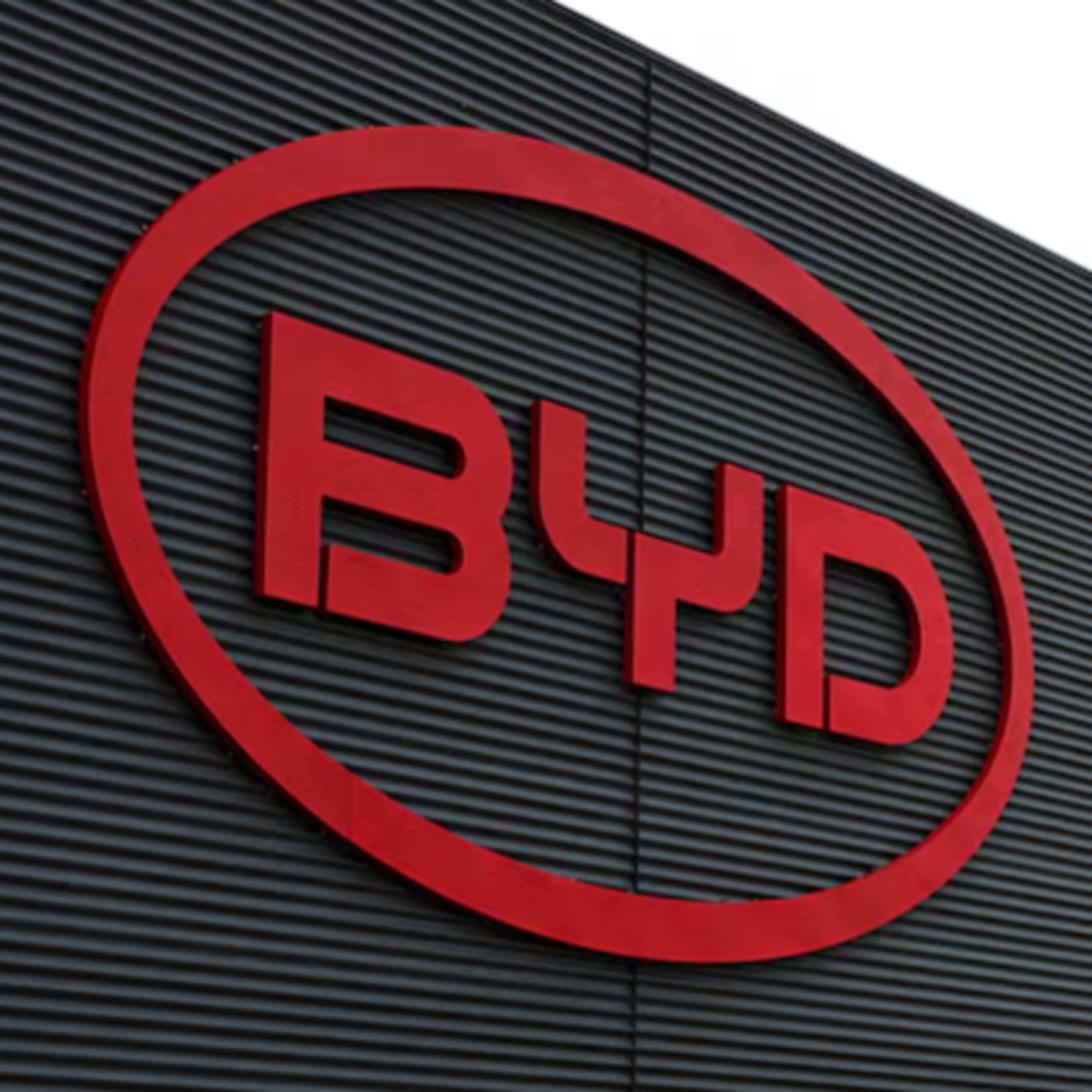 #108 BYD, Novo Nordisk, Palantir, BHP, Rio Tinto