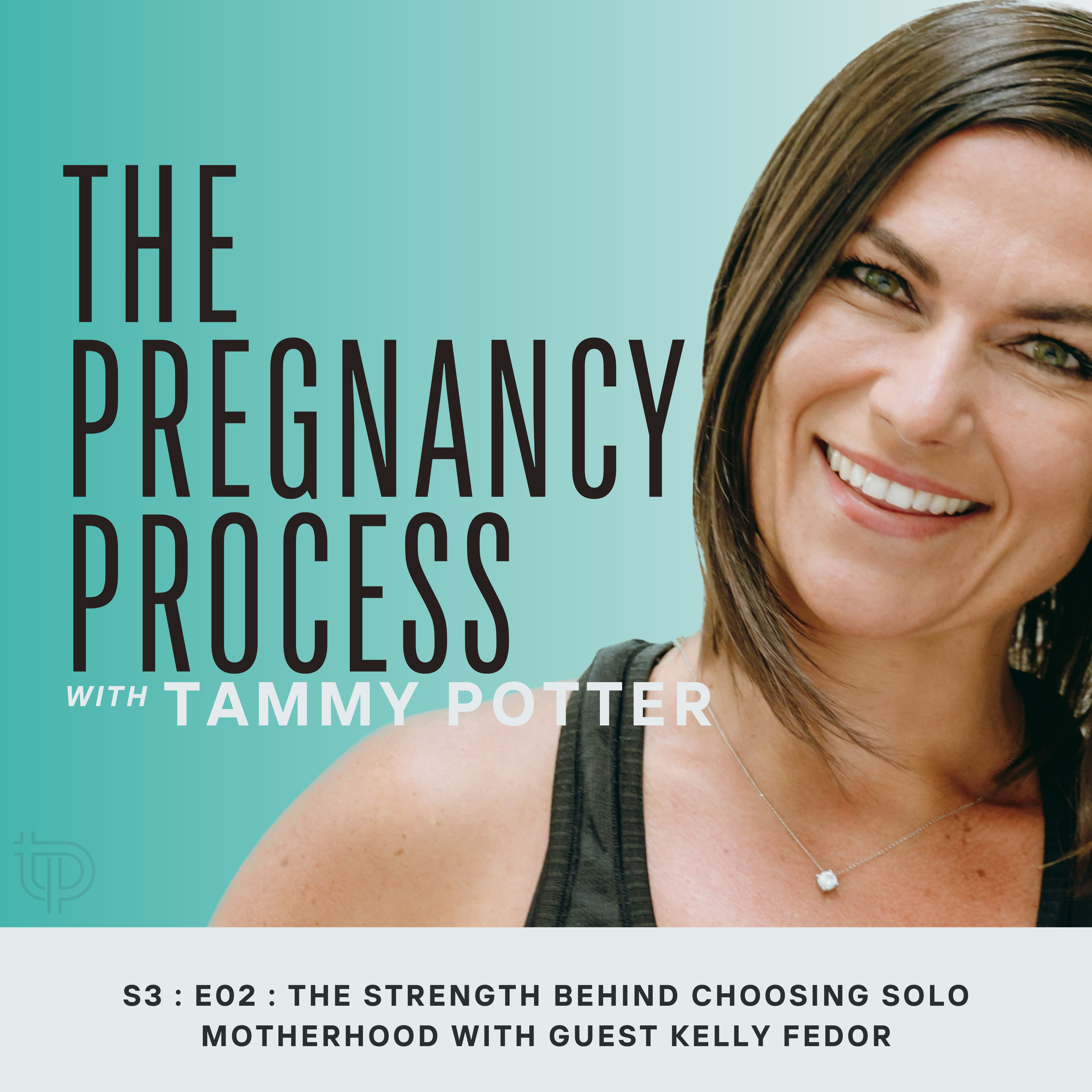 The Pregnancy Process Podcast